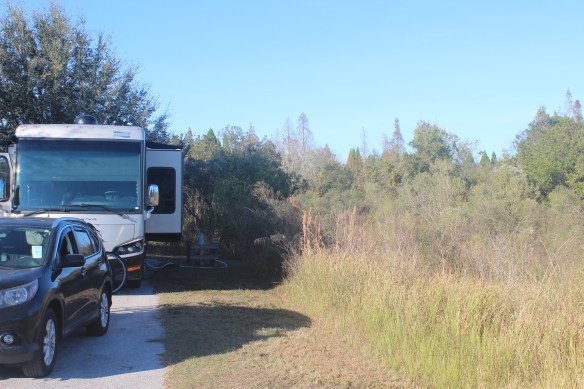 All scrub and trees next to us