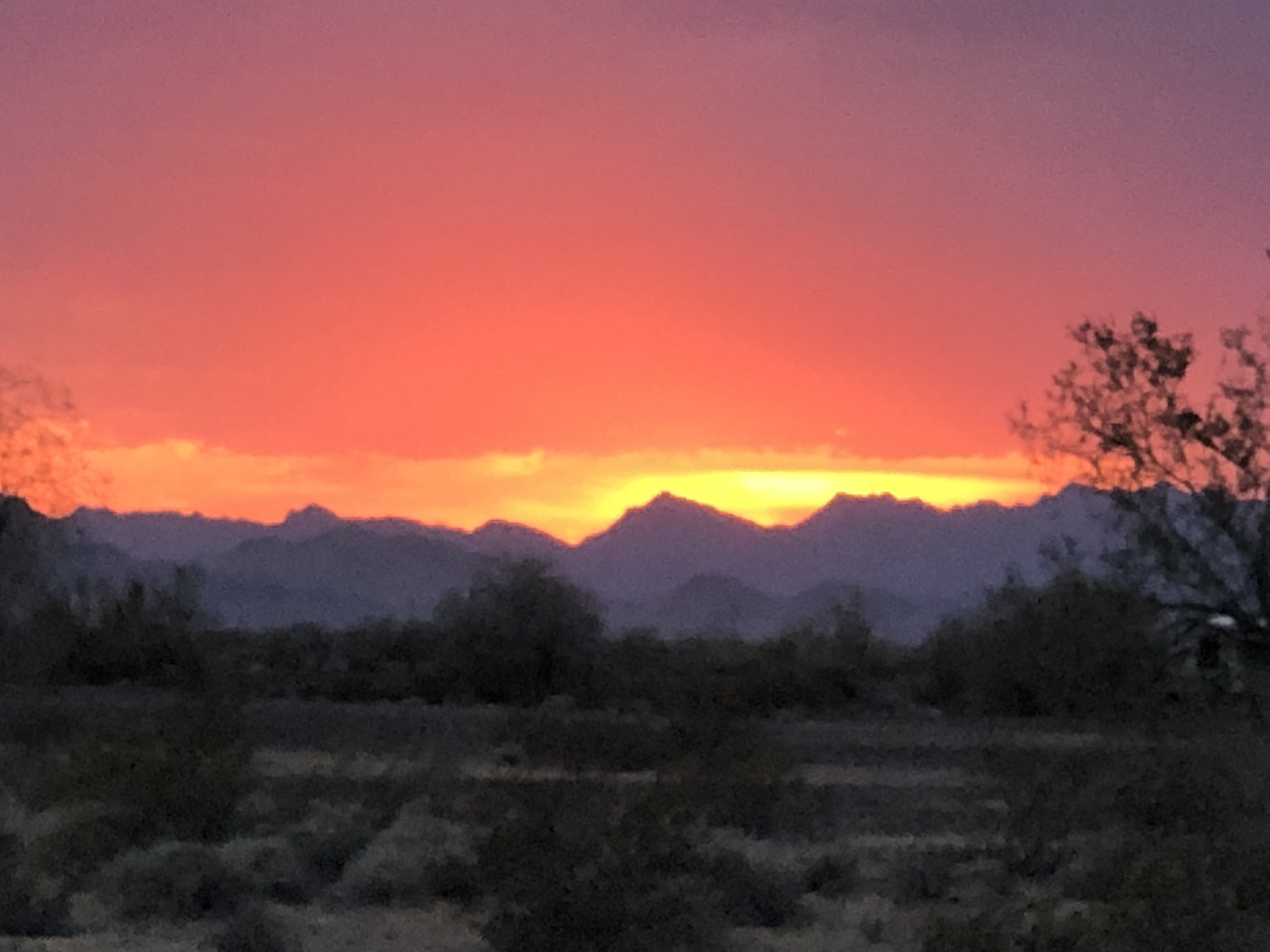 56209EED-CEDA-465D-B5F5-511F427A42FC