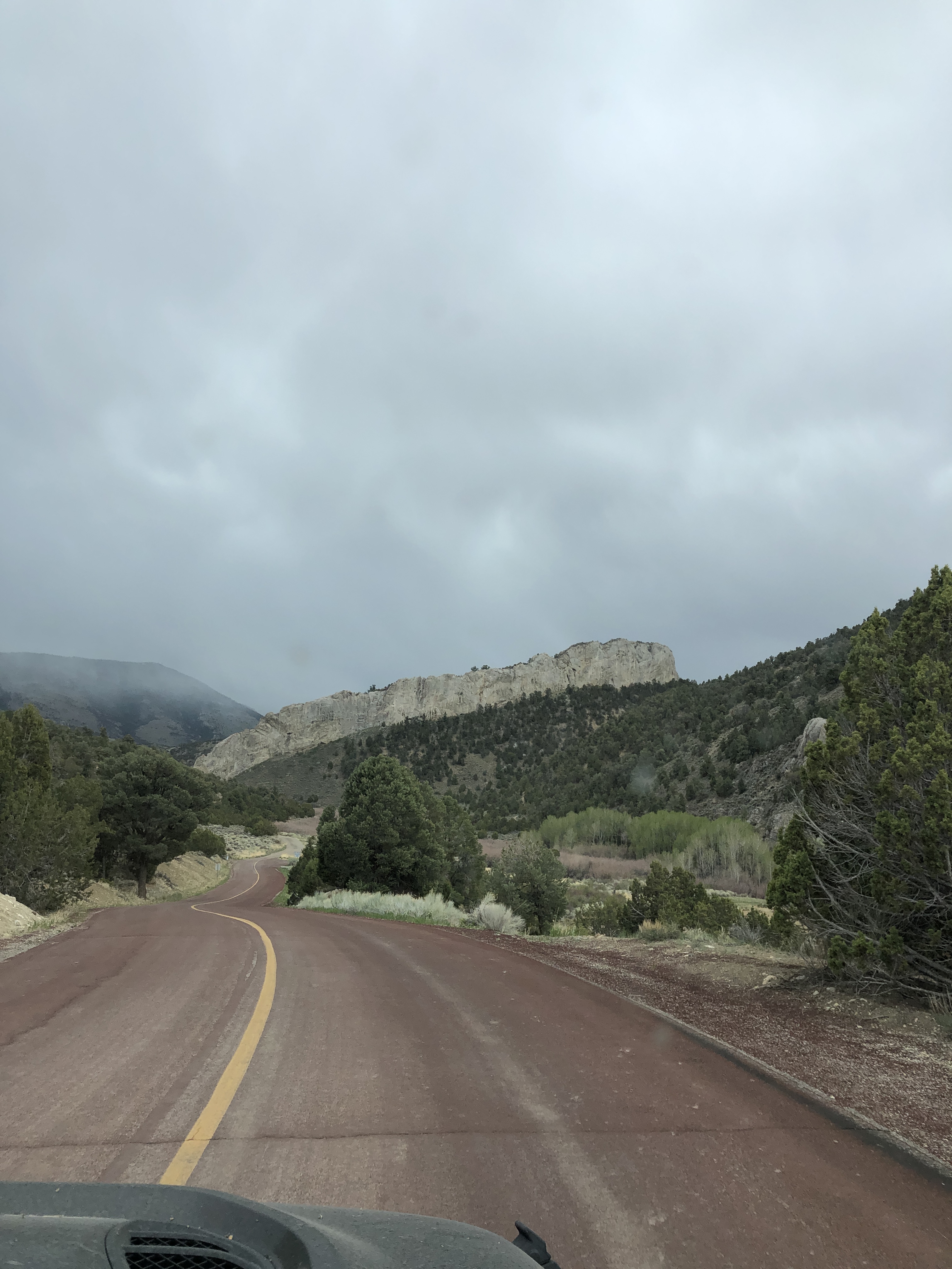 264A736D-9FFA-4926-A989-10F4606FE402