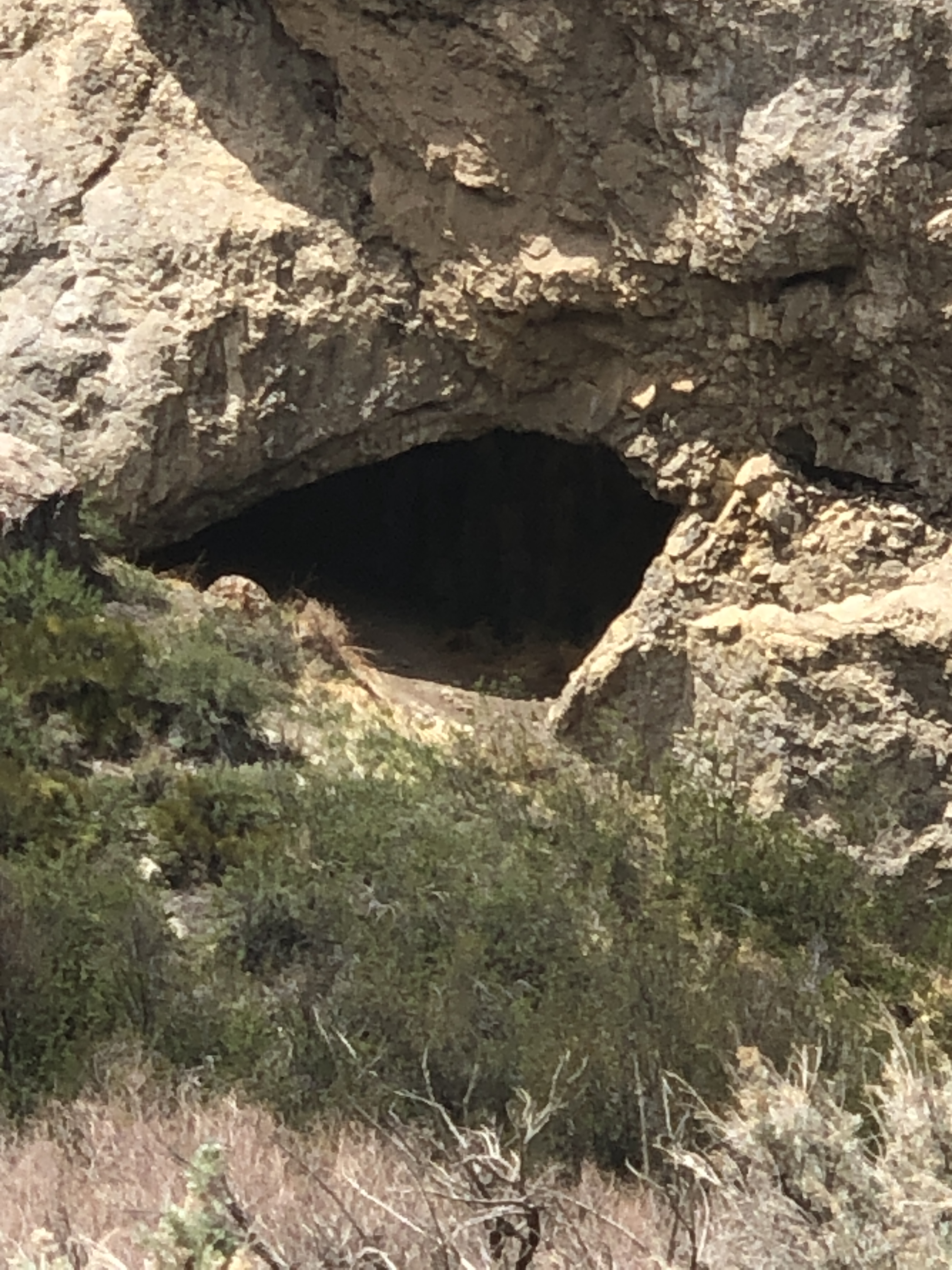 471E99B7-334B-4C7B-B517-62832C736CFF