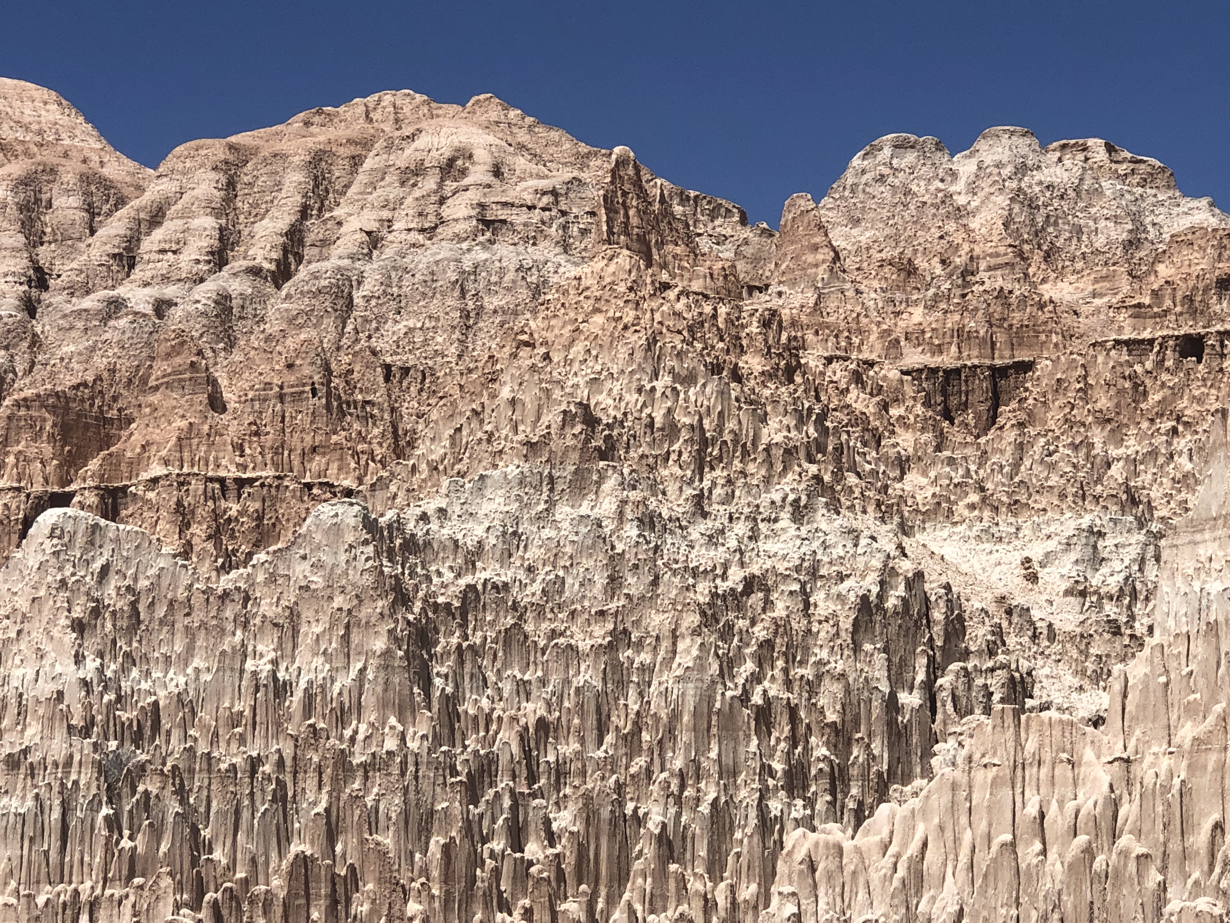 5821415E-0CB2-48A9-B475-527E4EE819D2