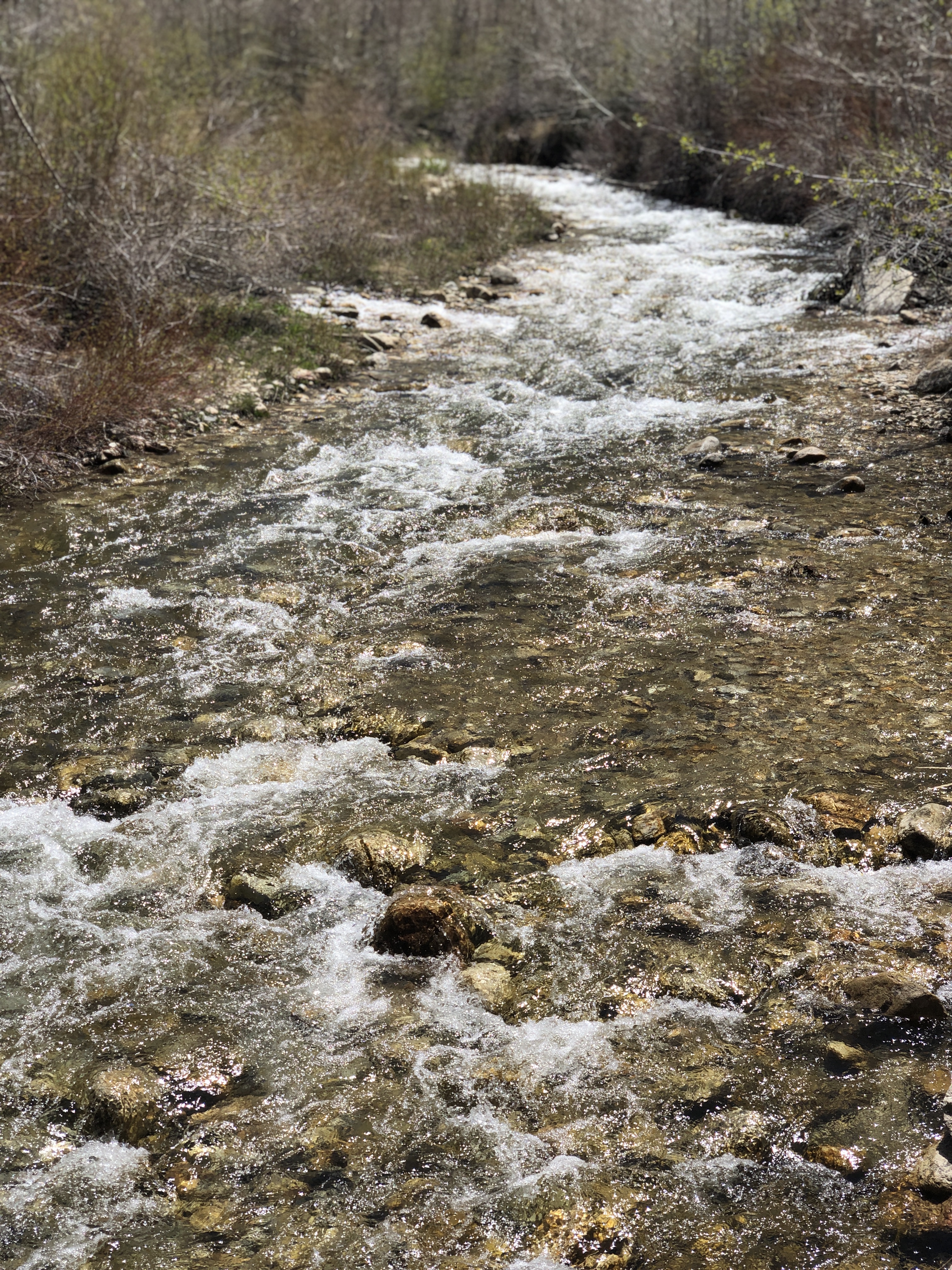 5FFD570B-B051-4E8E-8CE7-C2C053B0EB56_1_201_a