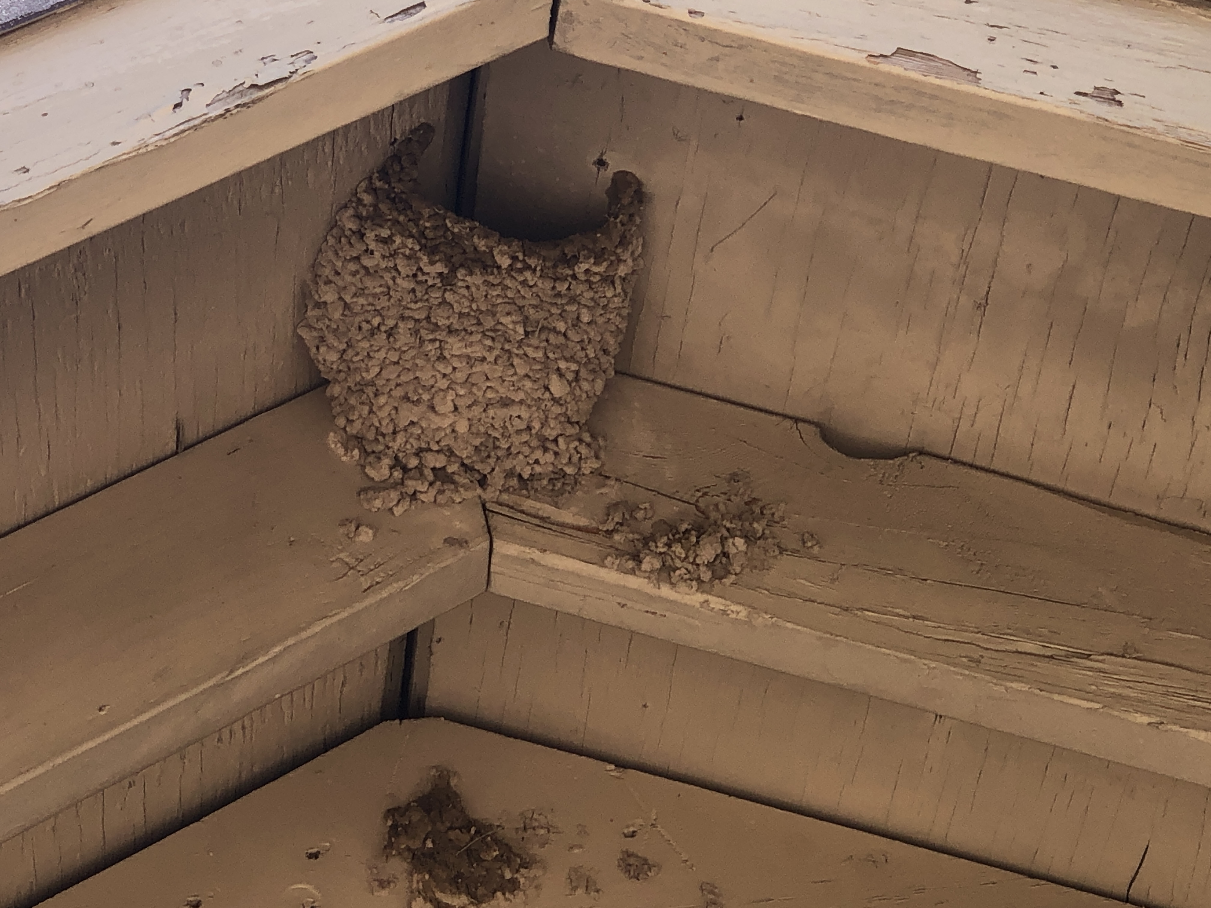 872DED76-F95D-441A-B47F-EA22BA700CEC