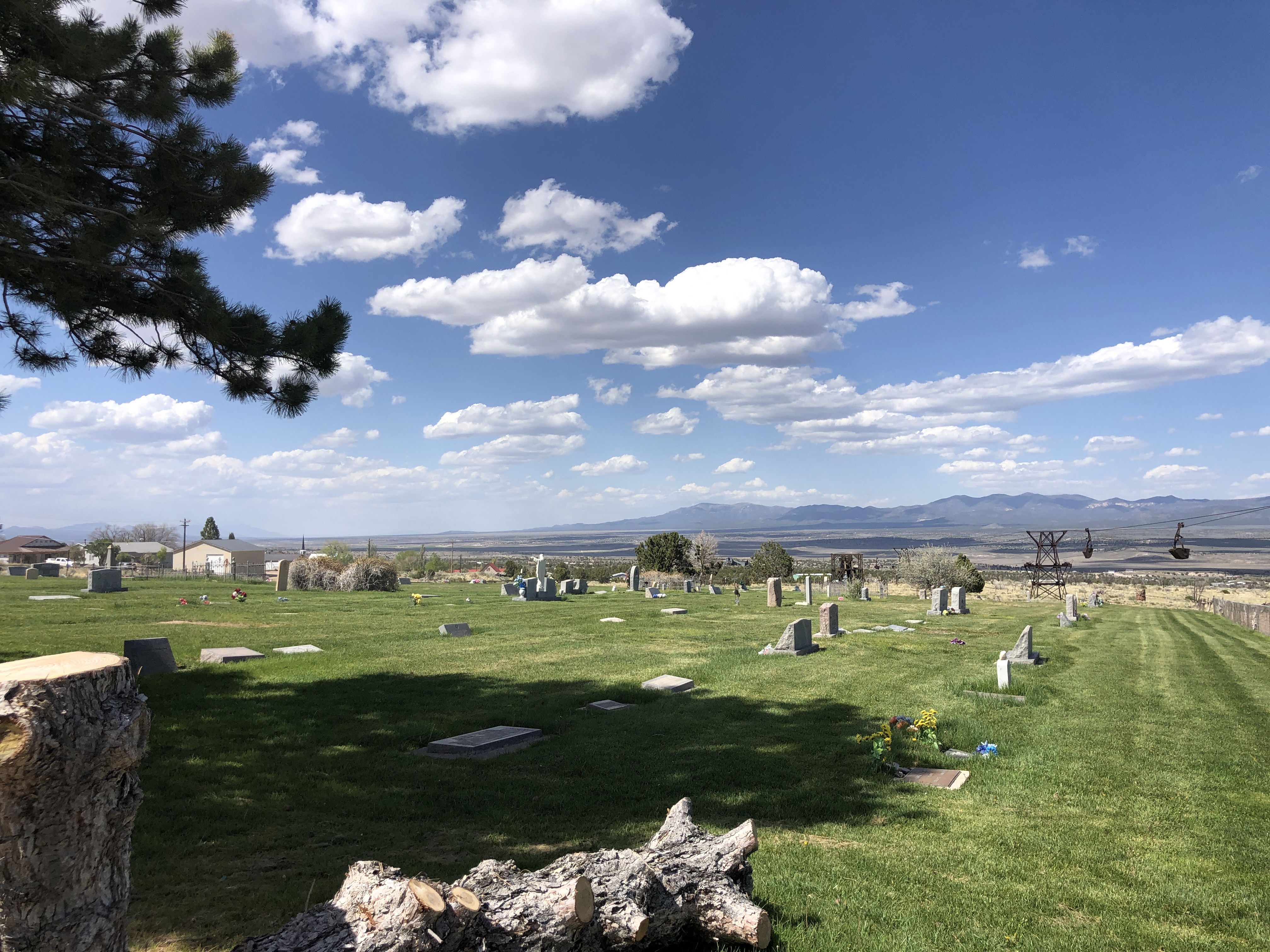 8BBB718B-AA66-430D-A9D7-F47757663D3E