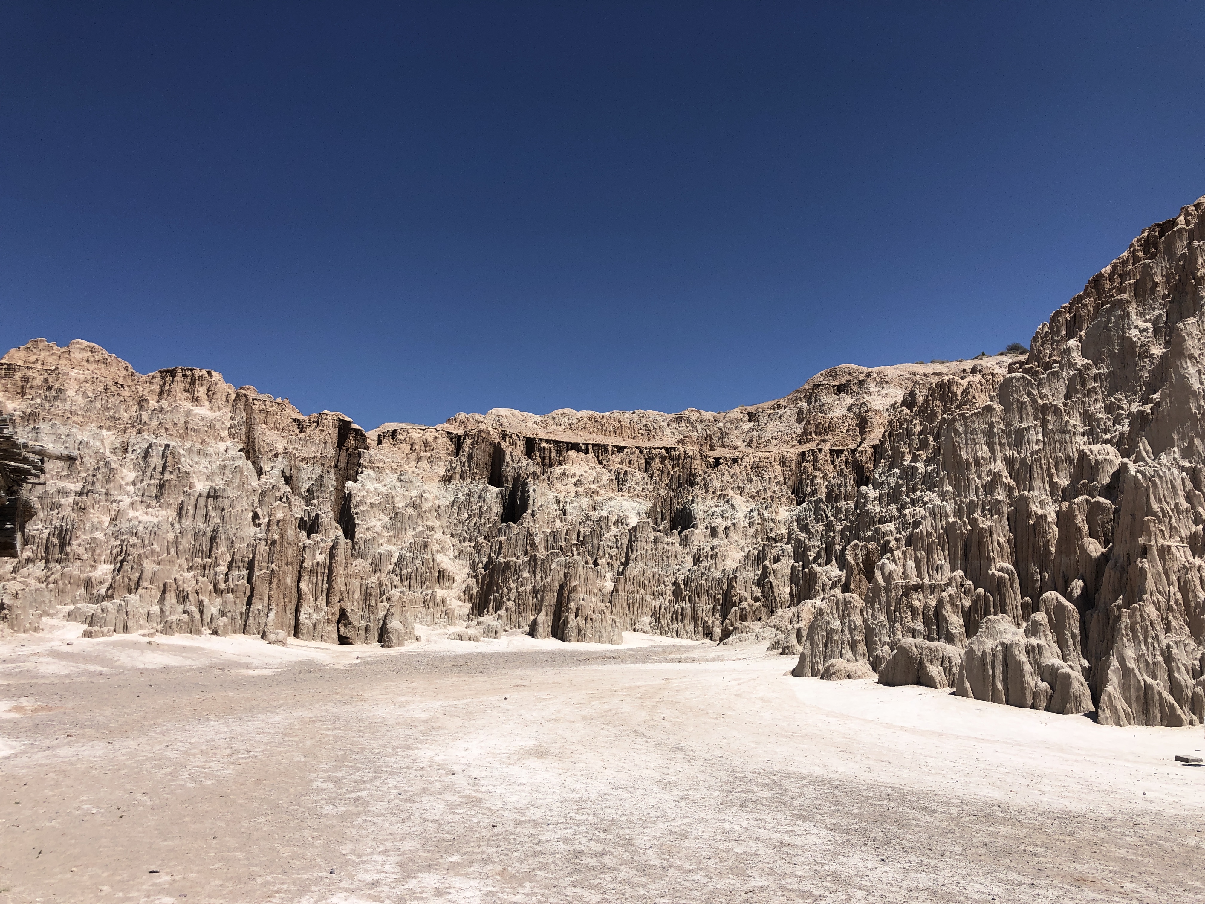 8EA64CEB-C24F-4036-AC95-2DE84BC86A81