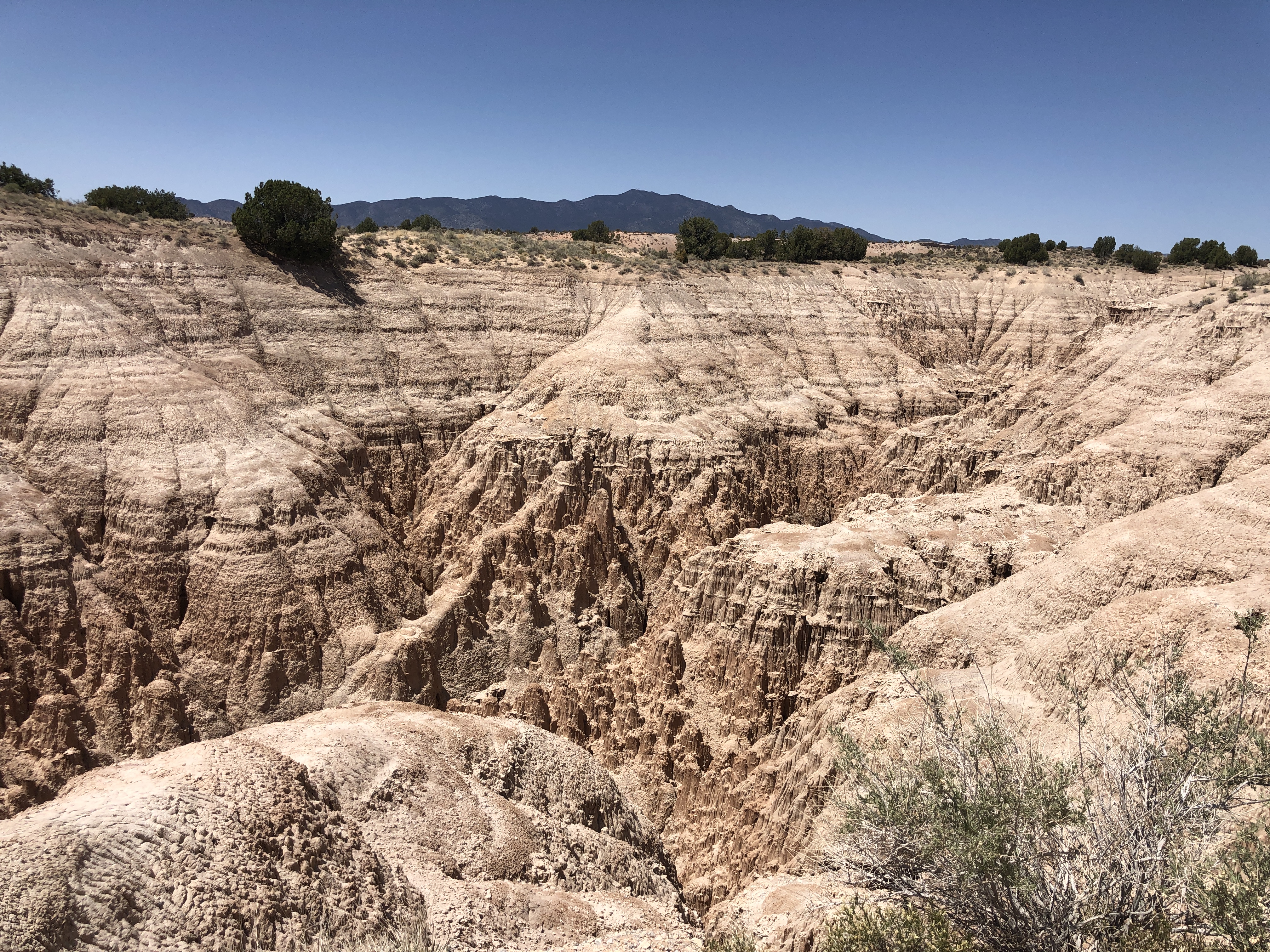 941EC38D-F0E1-4884-8115-E7821F328CB6