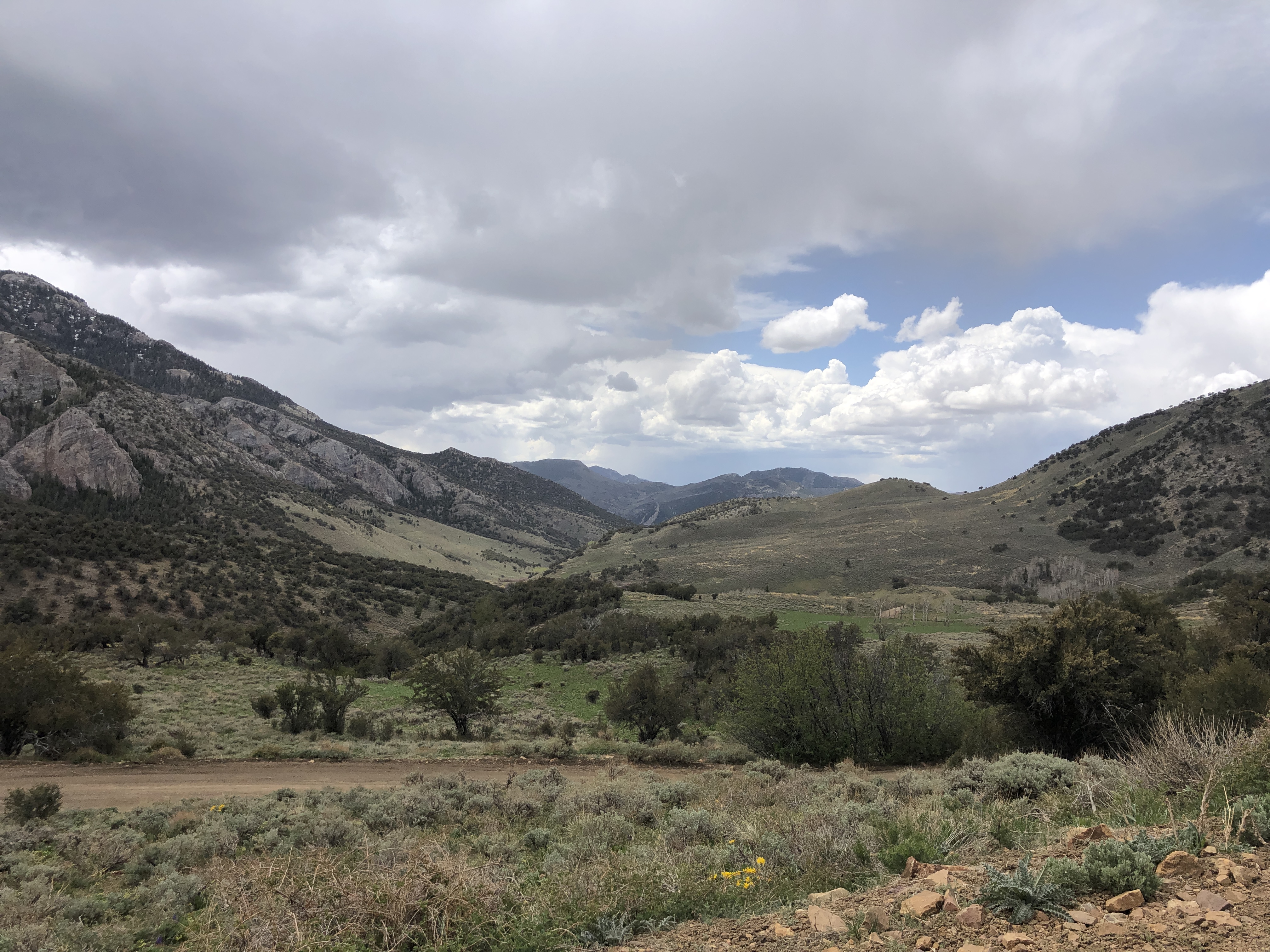 9FAB7F15-0CED-4200-8FC1-A917BB1156E8