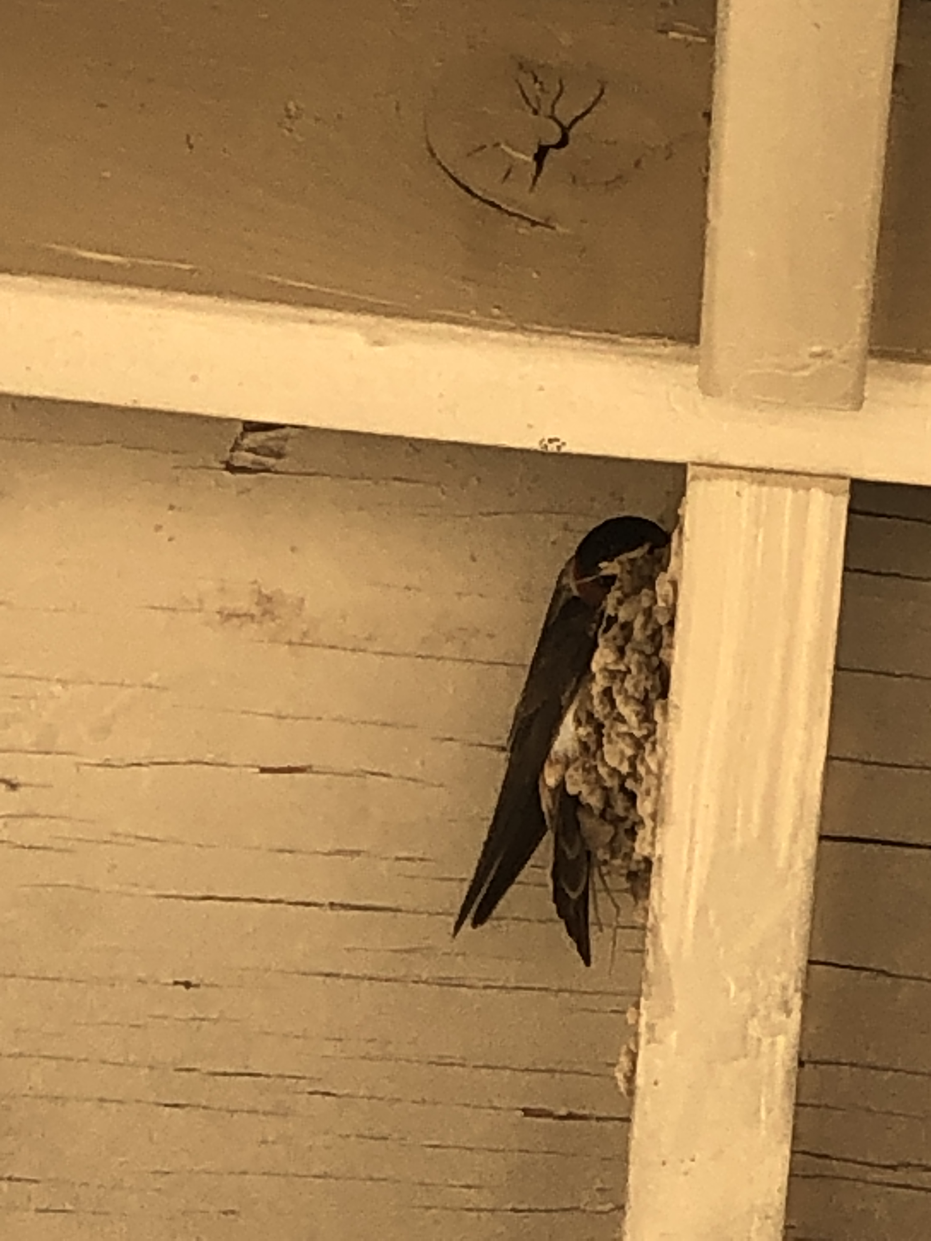 DABD088D-7A5A-4E5F-85AF-D95739322FE4