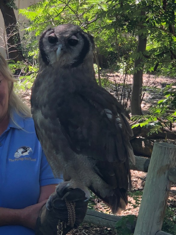 26B1A1D5-2DF9-495A-84AA-889C2D52DD5B