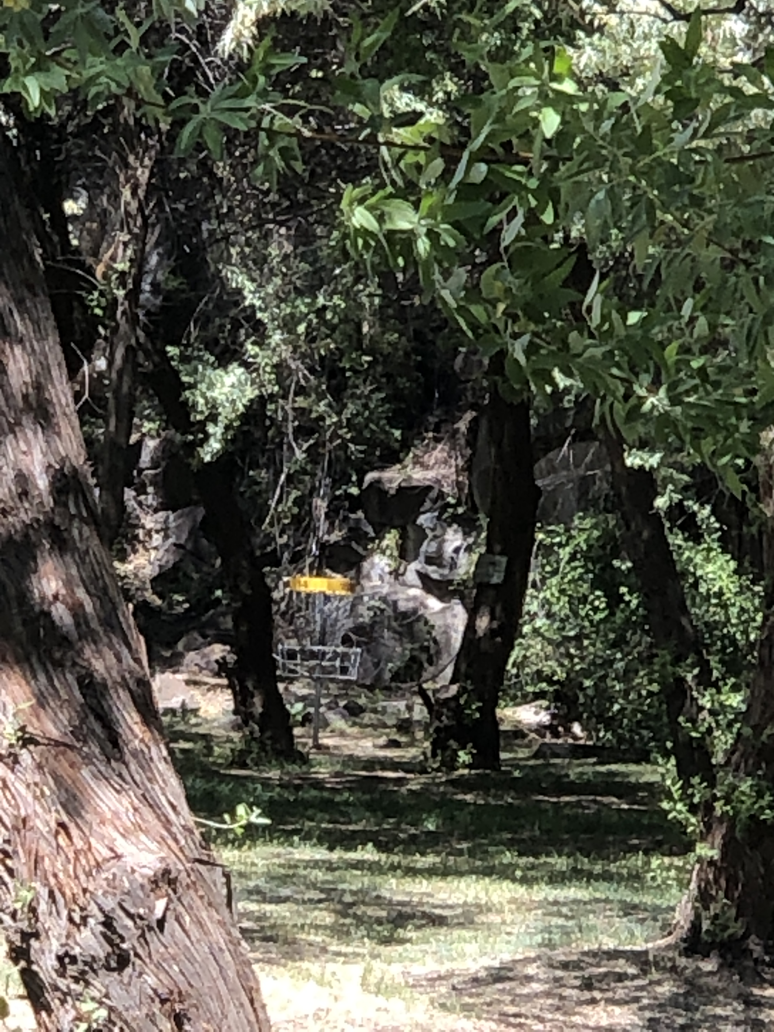 85BFA4AA-E501-41DD-BC27-9AC325134020