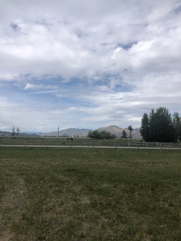 9B2BEEA3-E598-41DE-96A7-D3227C71DD1B