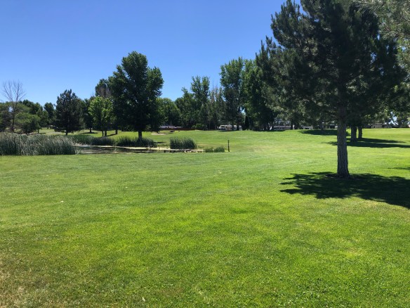 A3A6A21C-820E-4AED-9611-21E9D0C754A9