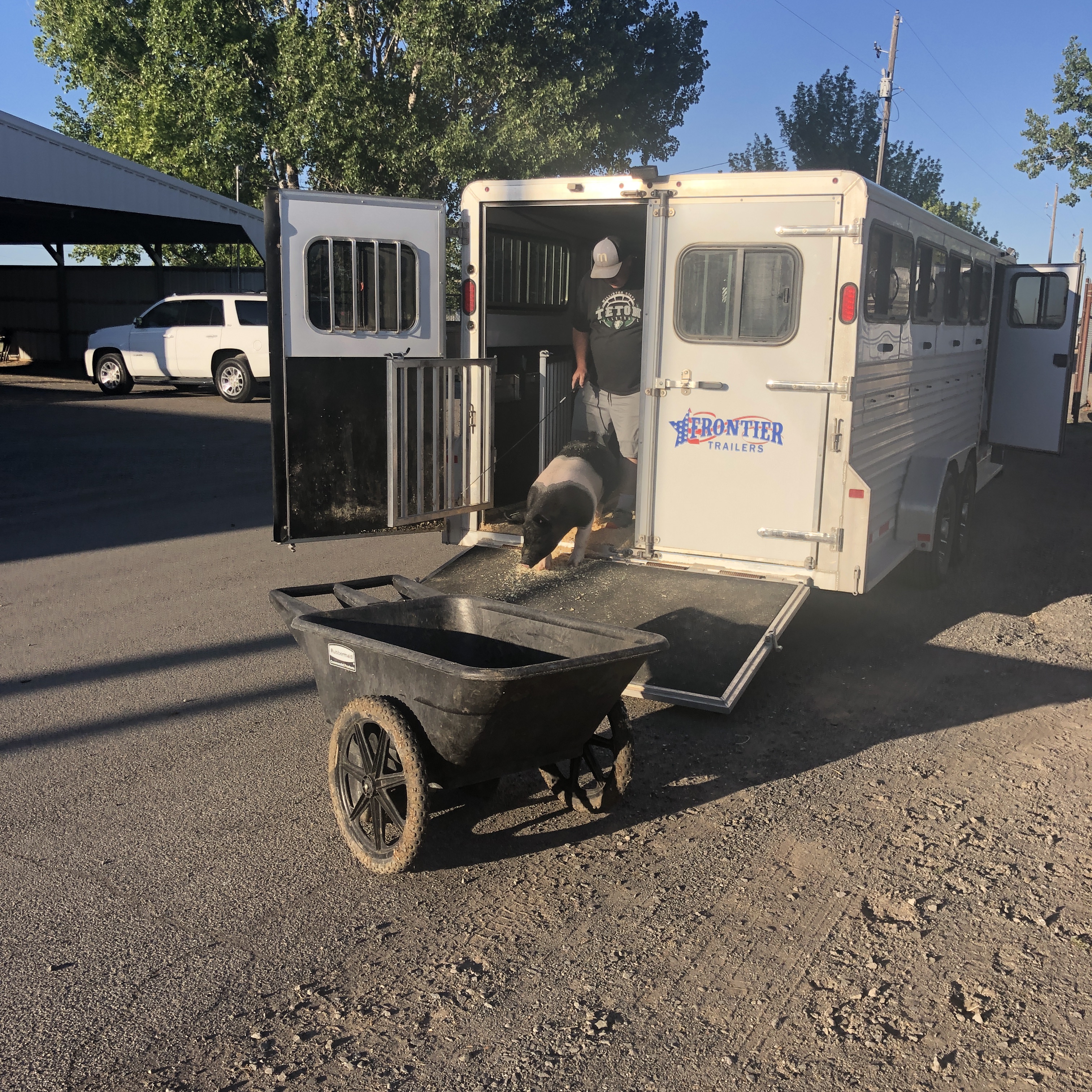 E20896D7-E8A6-4FF3-BCC9-804E80203B98