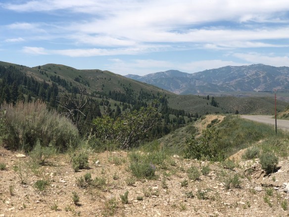 E3EC8E11-2391-4EEE-B90E-A8DB7A9F66EC