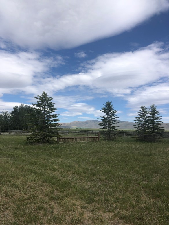 FD82EFCA-08E1-4EB1-A13E-2292DA492A4B