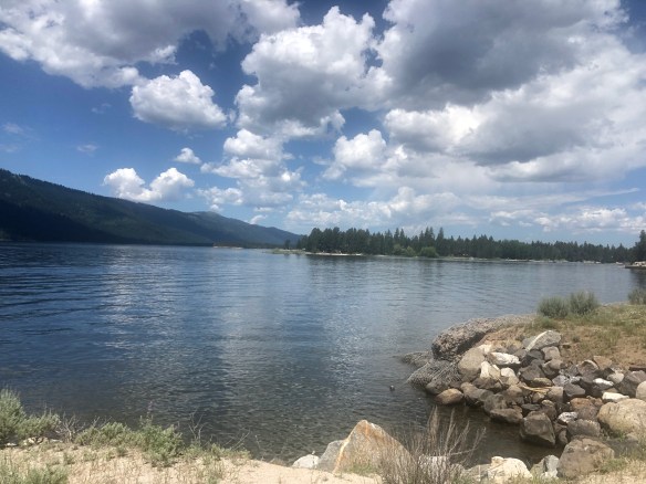 95C75480-2EA3-4ABC-888C-8FBBCB35E784