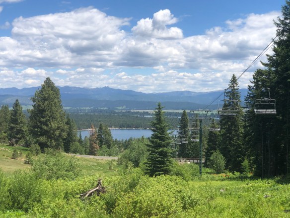 A50E7297-7DF8-481C-9A20-DE1F9779EFC0