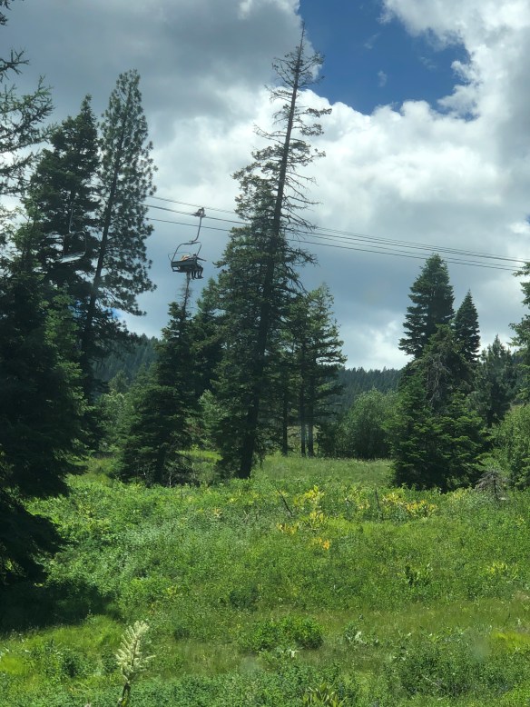 B1503E79-A597-4758-93FB-F8DA281D641E