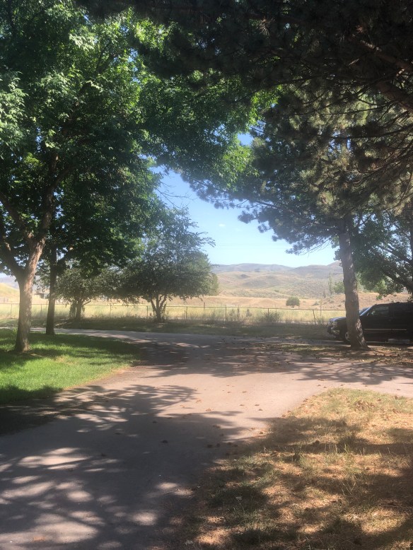 B2AD9DBF-37C9-4398-9896-4501BFADD75D