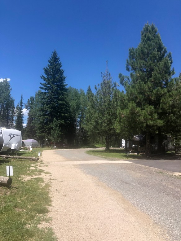 EFDAB611-C50F-4D12-B868-7B63AA2FA2F0