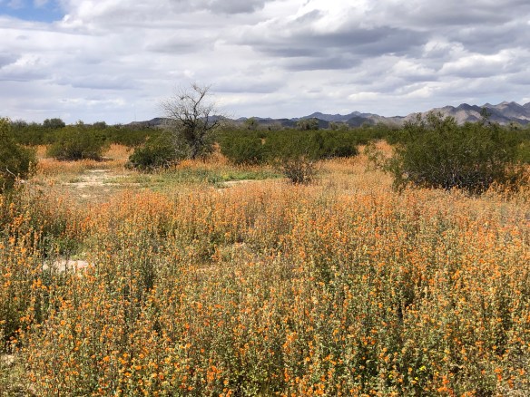 47F8563F-4A45-4B75-92DC-095CAD76C09C