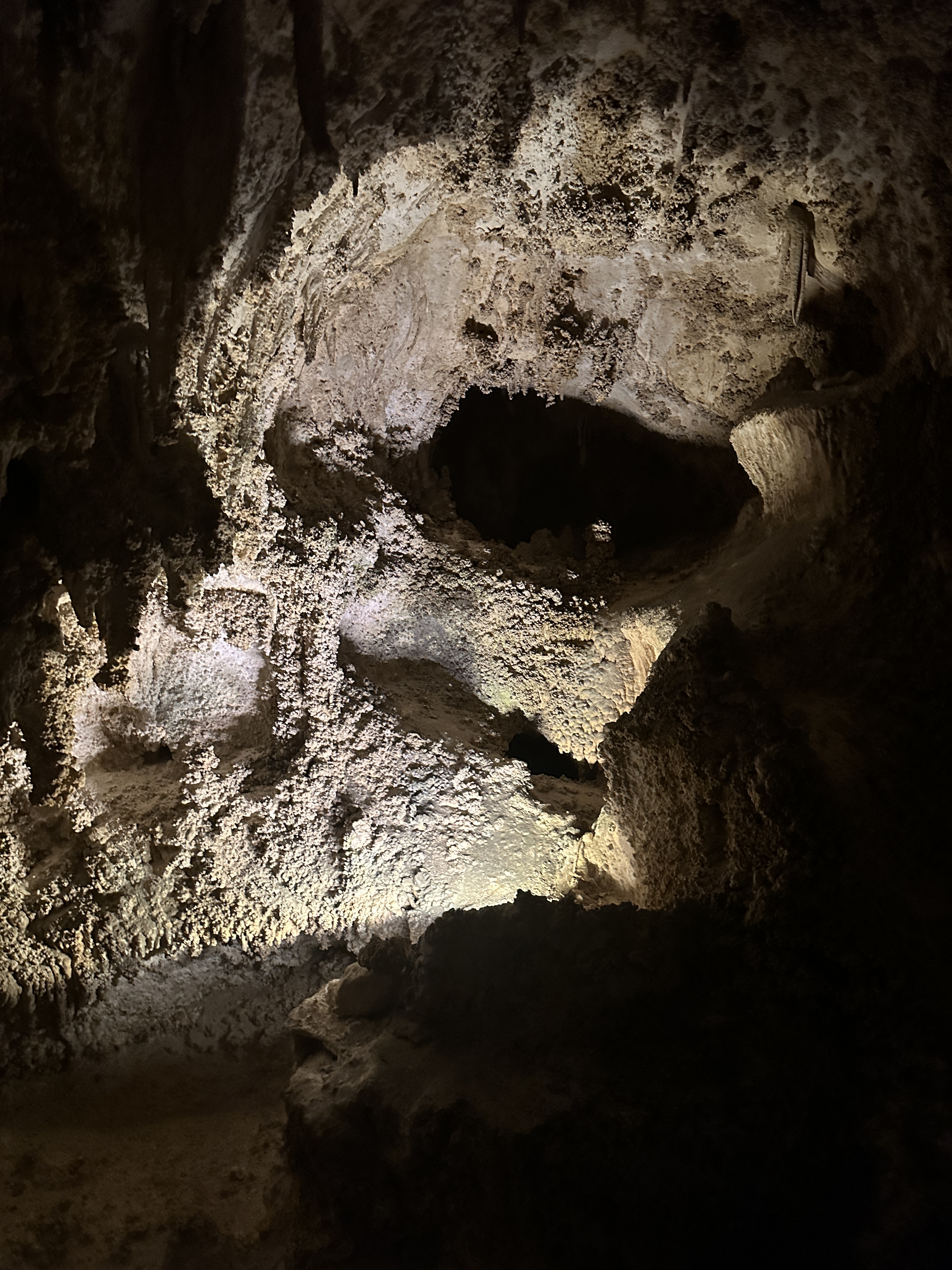 1CDD878F-F44D-4D20-849A-9135B8387DB4