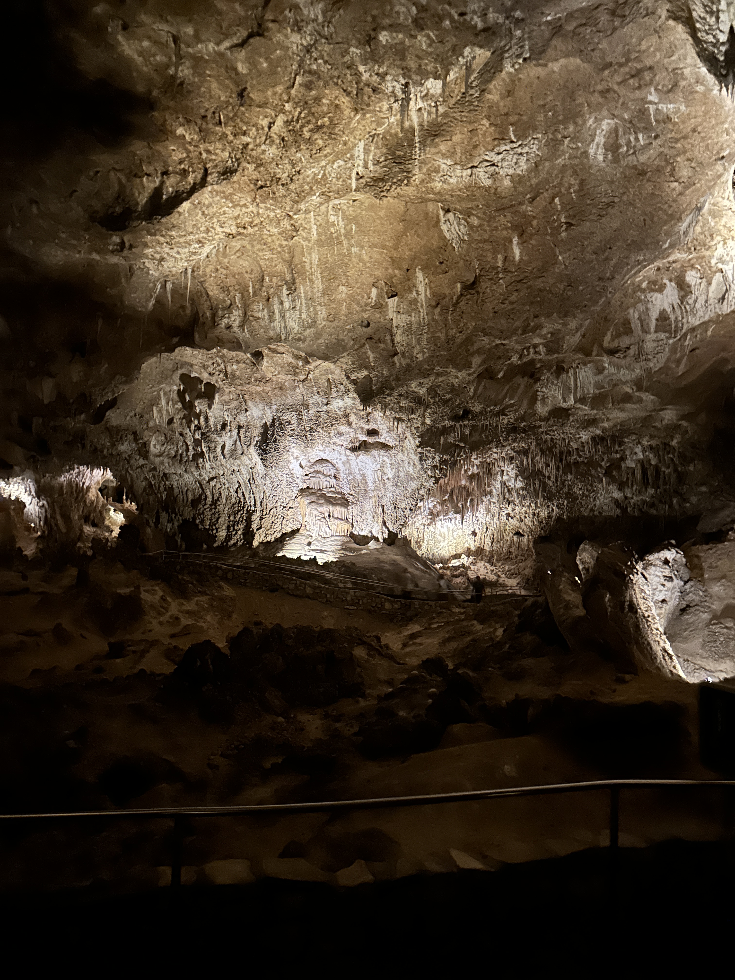 29EC499B-ED1D-4300-9BF6-99D5340F2F28