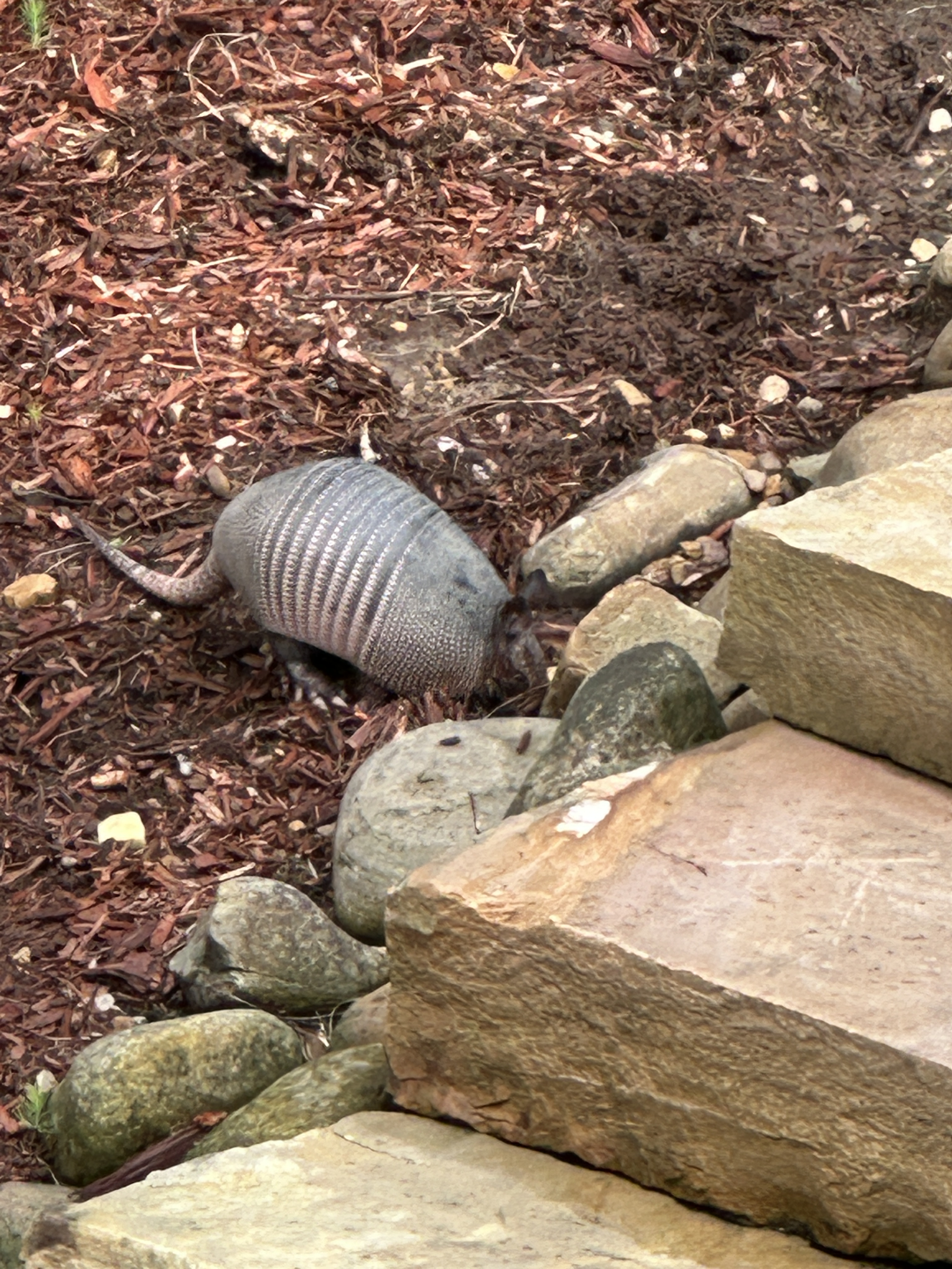 46BD850D-56D8-47D8-B949-7CB64EC0D22C