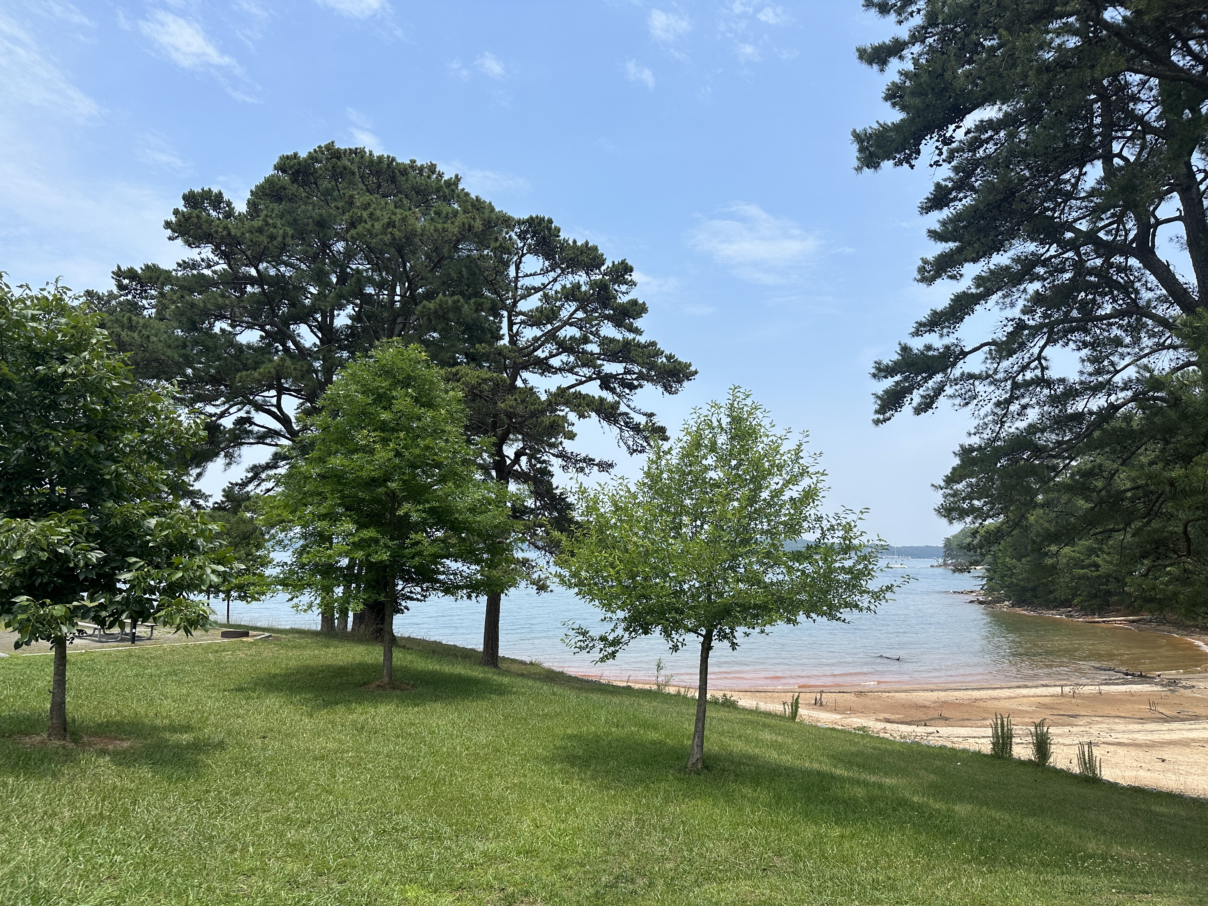 52ECB07F-6ACE-4DCD-89E1-ABA998B26DC9