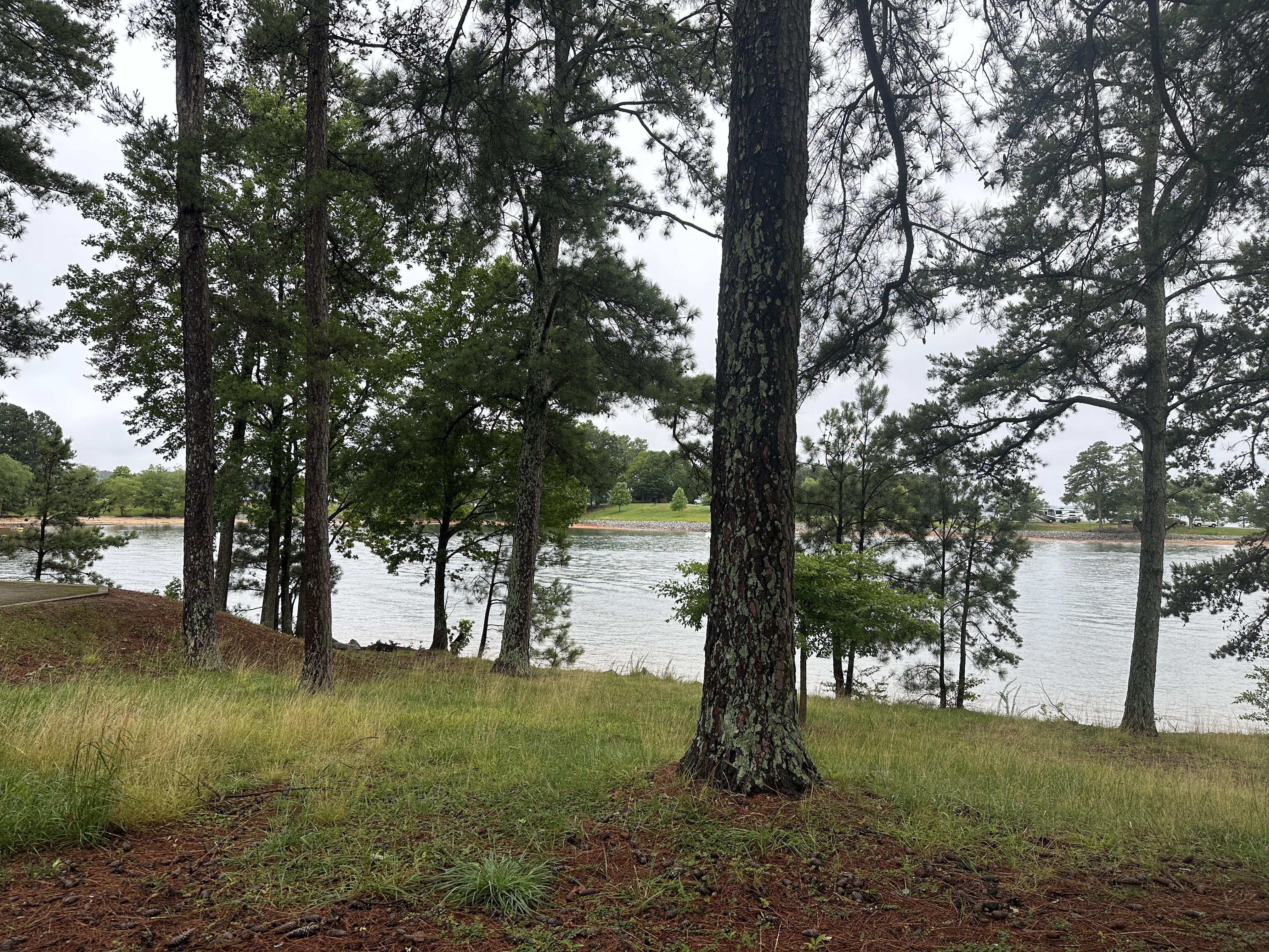 6215DFF4-0CBD-4139-AE03-8060030B54C1