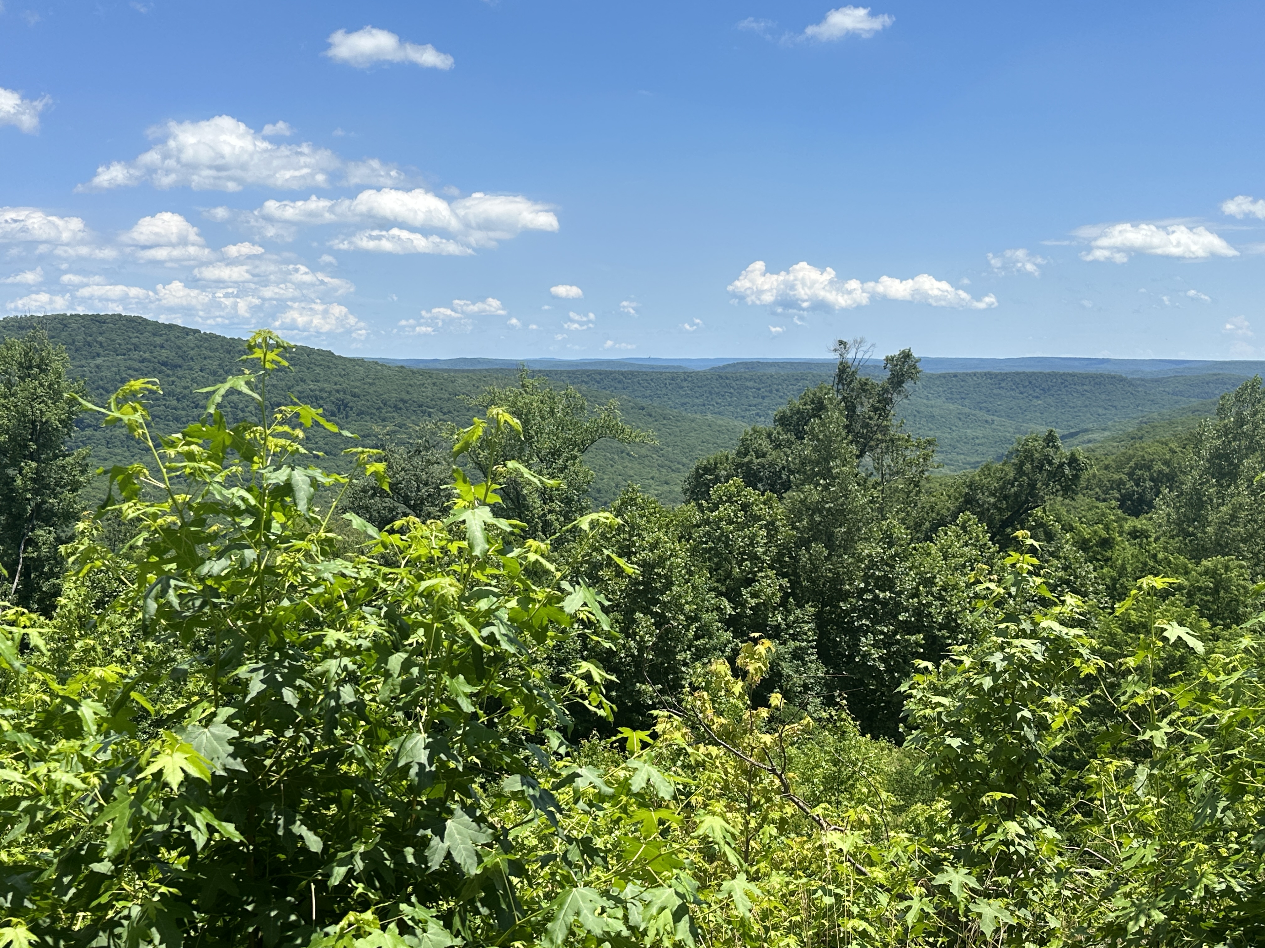 A3498F41-0727-43FB-A236-1D201507C055