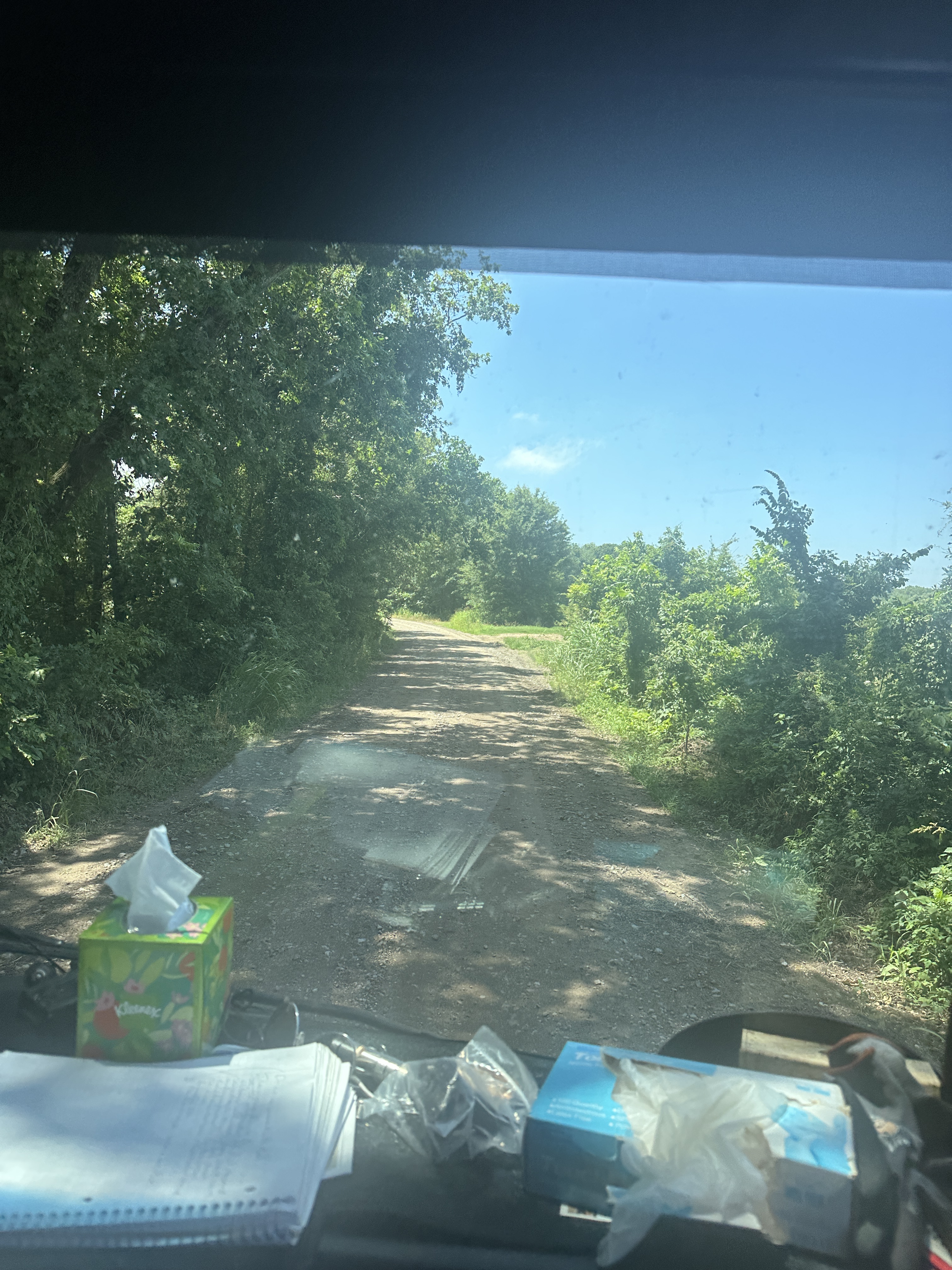 BFFF82C1-01CB-4AA3-A8BE-3767B52A39C0