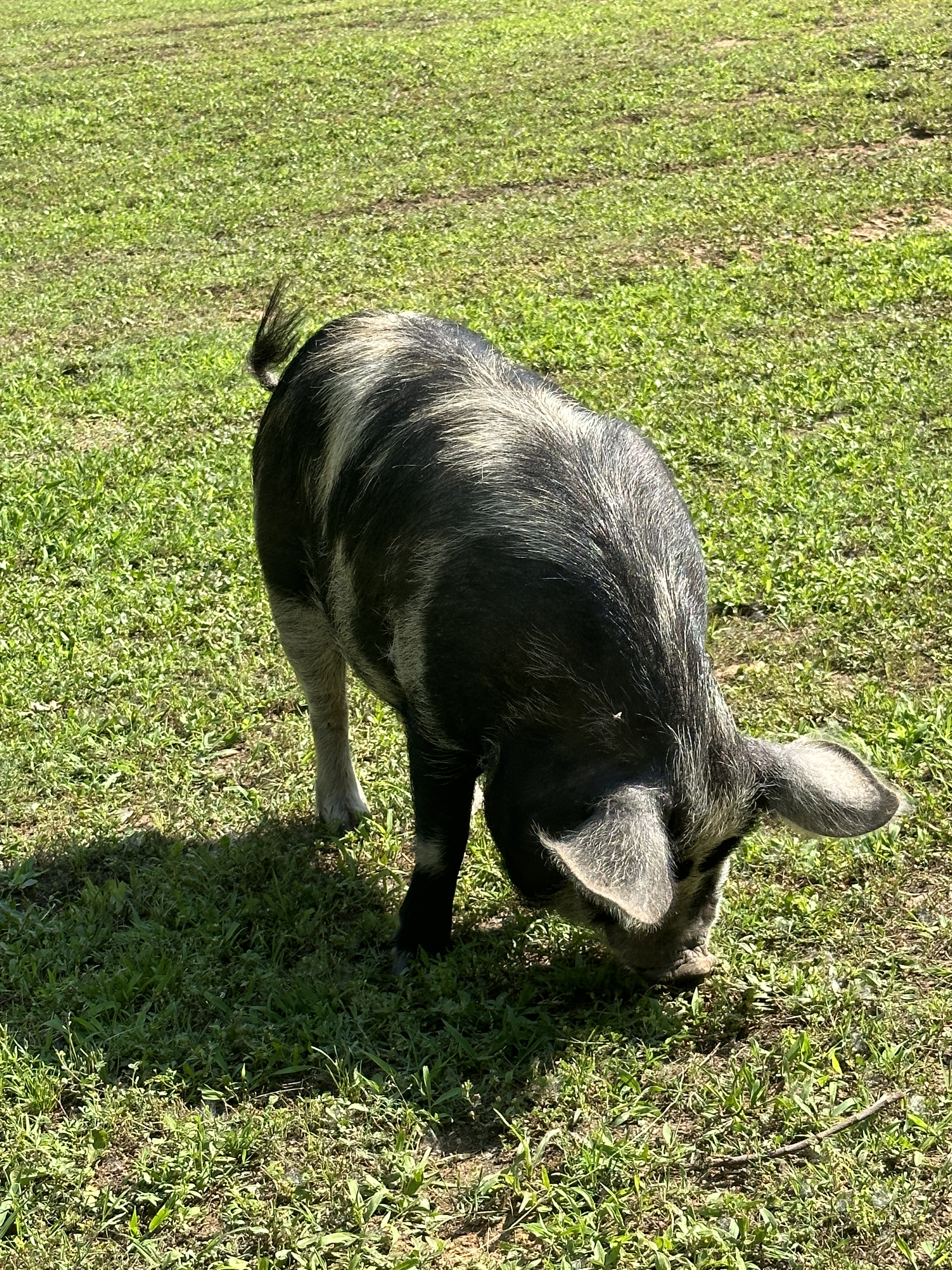 CC225BF0-09C2-4CF1-9A08-1FC6848BE287