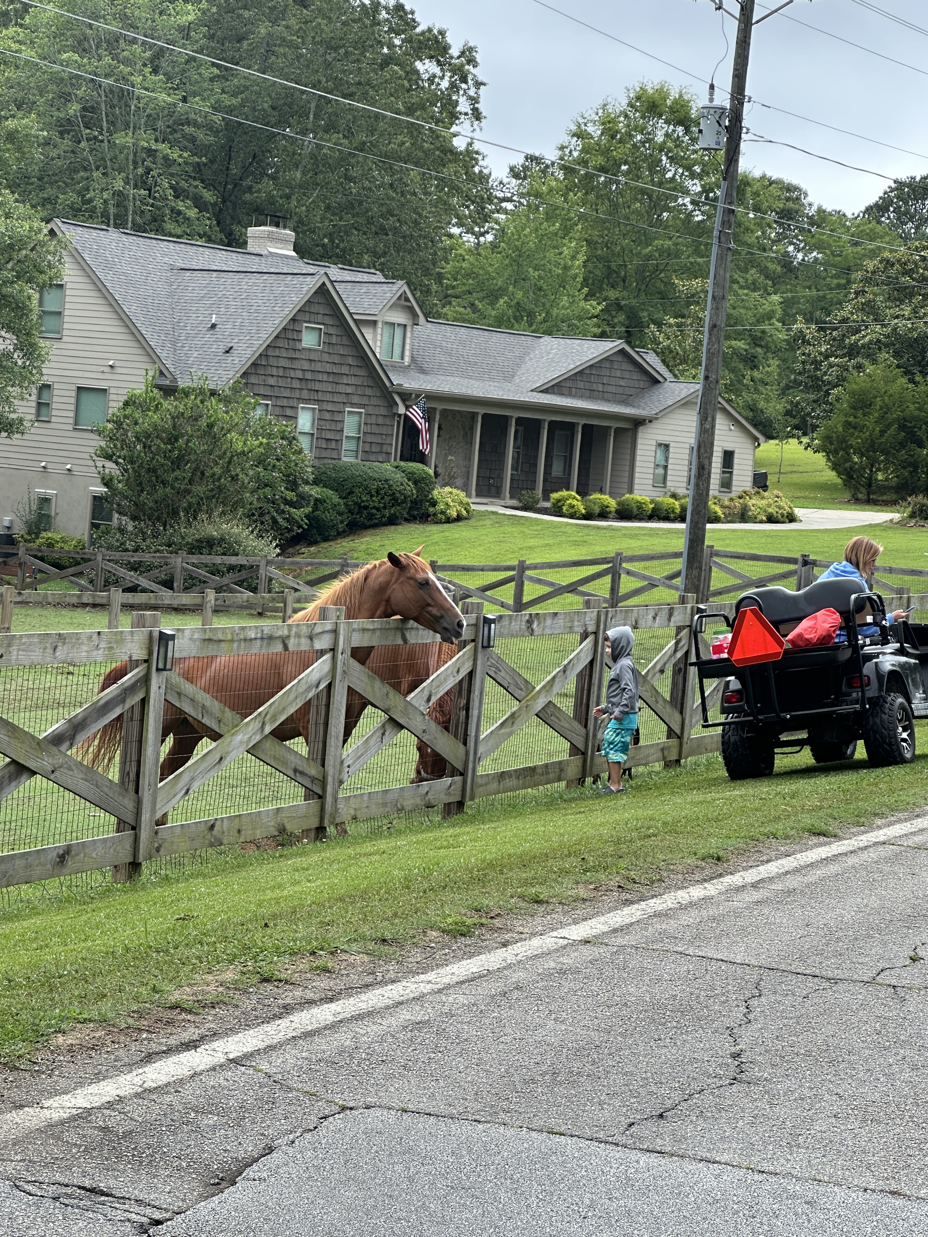 CE803952-9BC8-4F4E-848E-7CF03B7AA203