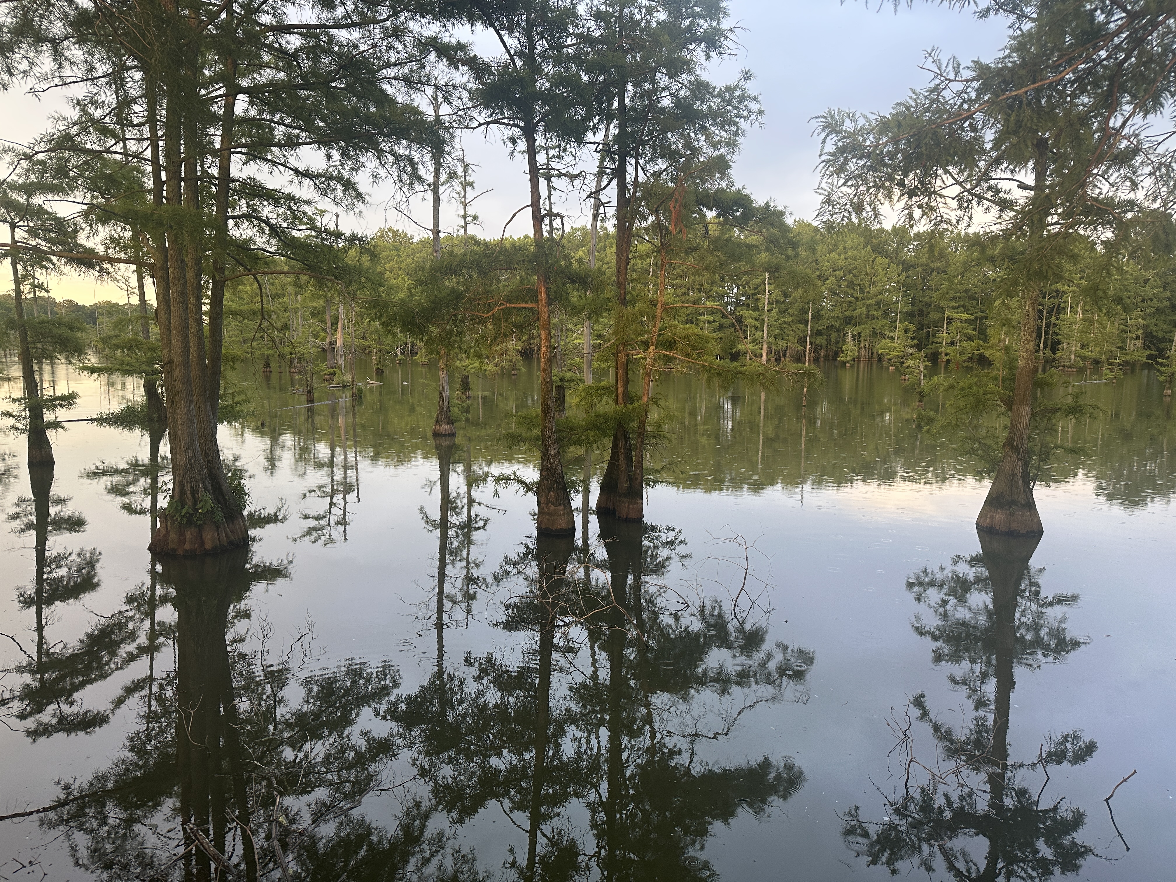 EBC564EC-120A-42D5-8646-E734A53E1EC8