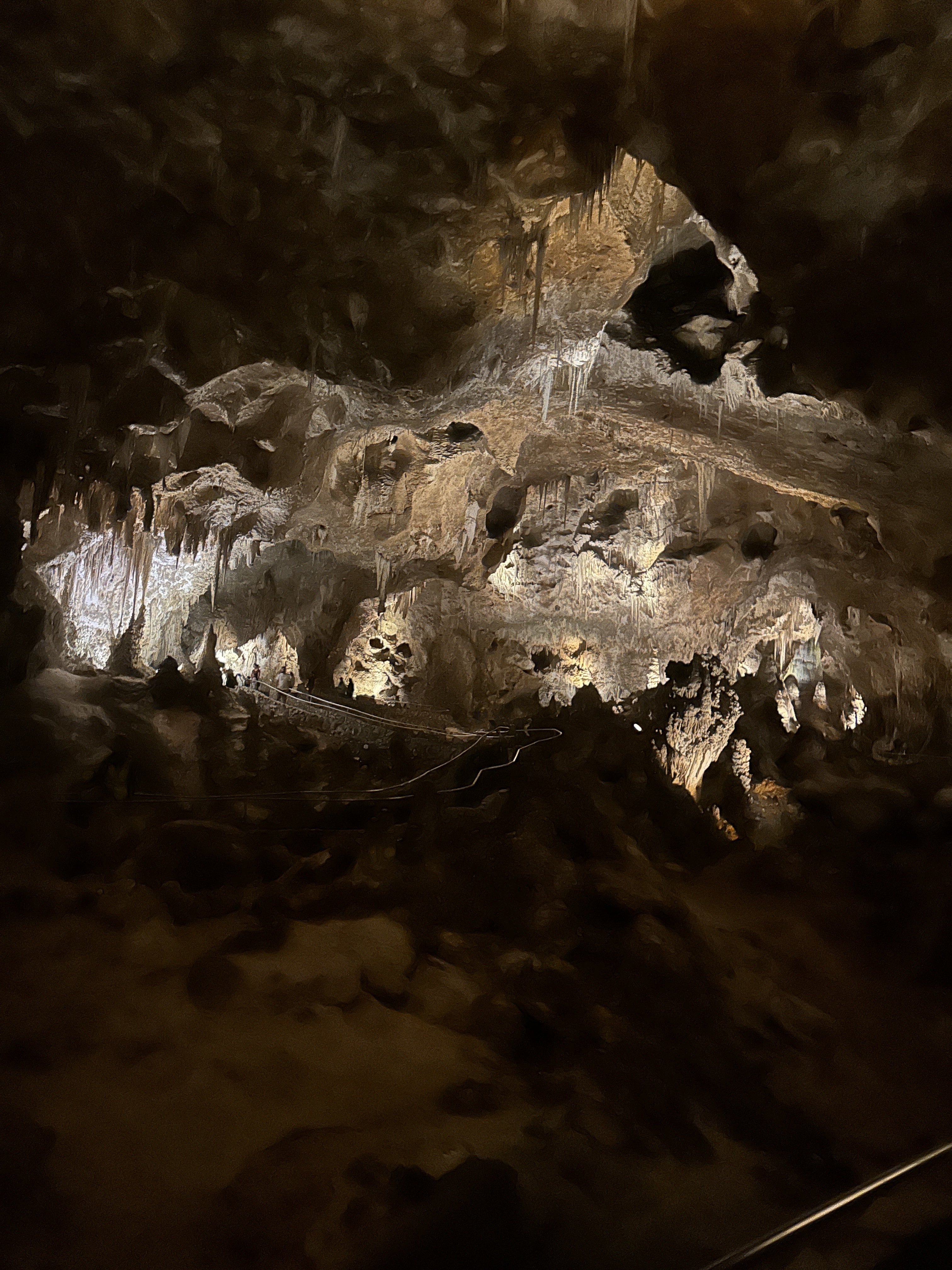 EE3818B1-A566-452B-8B86-F7158B51CE0D