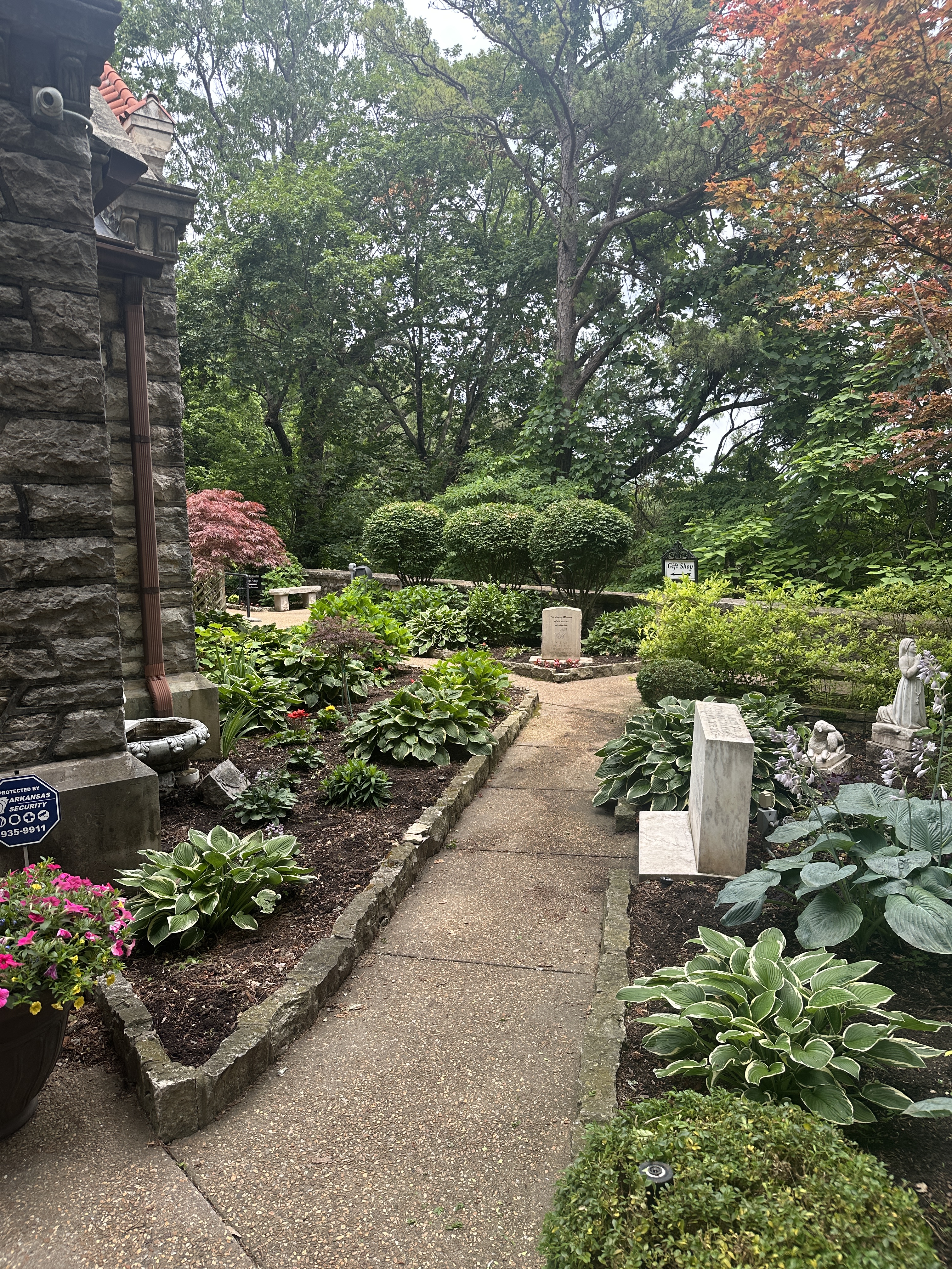 EE68DA66-F6B8-435B-BFF3-C36CAAFE245B