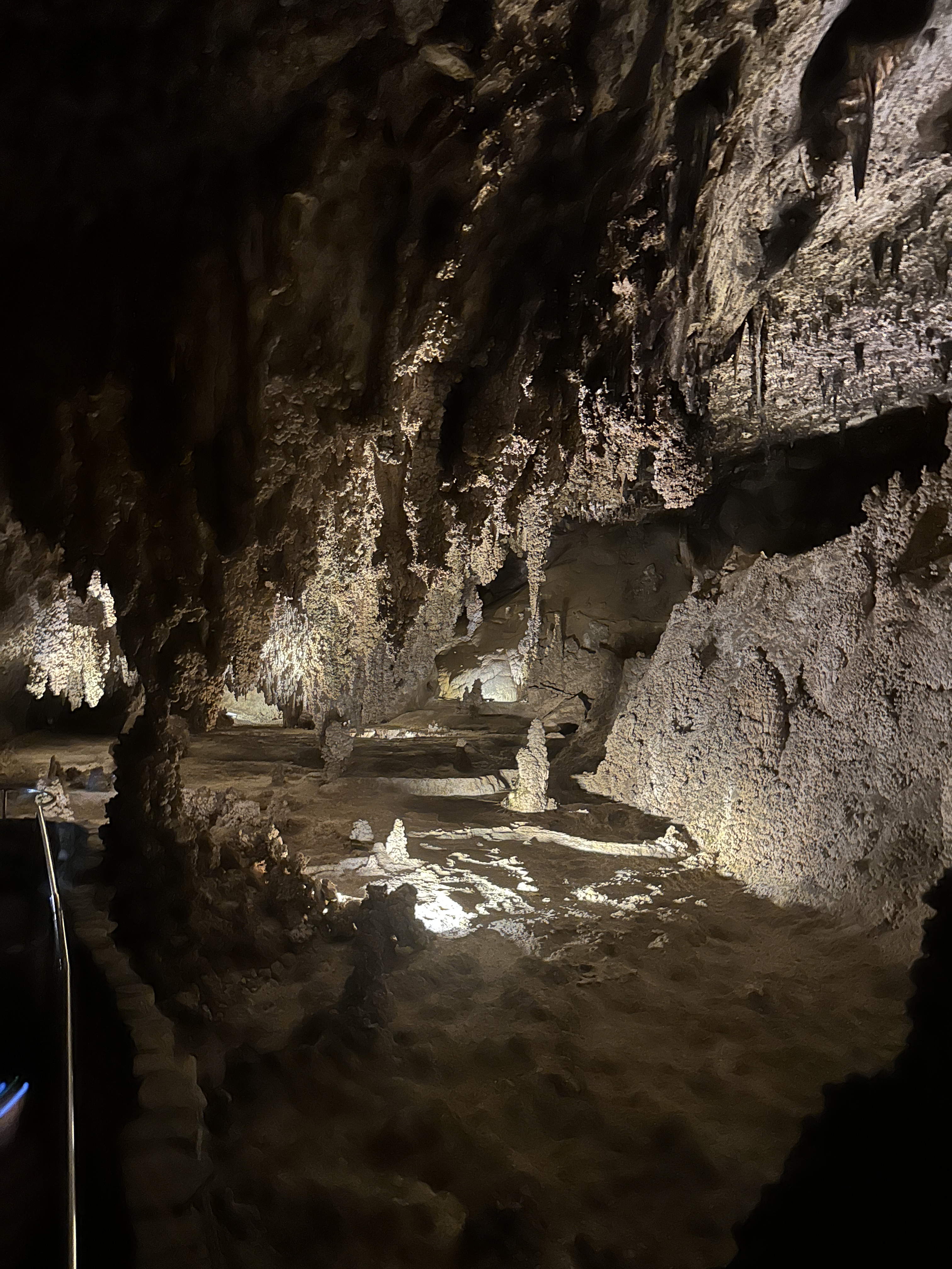 F2EEE09E-007F-4CBA-9B5C-D2FE74611B4B