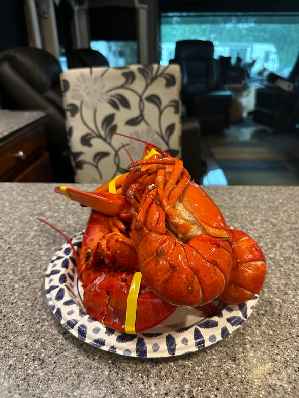 0EA92559-3050-4DC0-92B7-0147246E9614