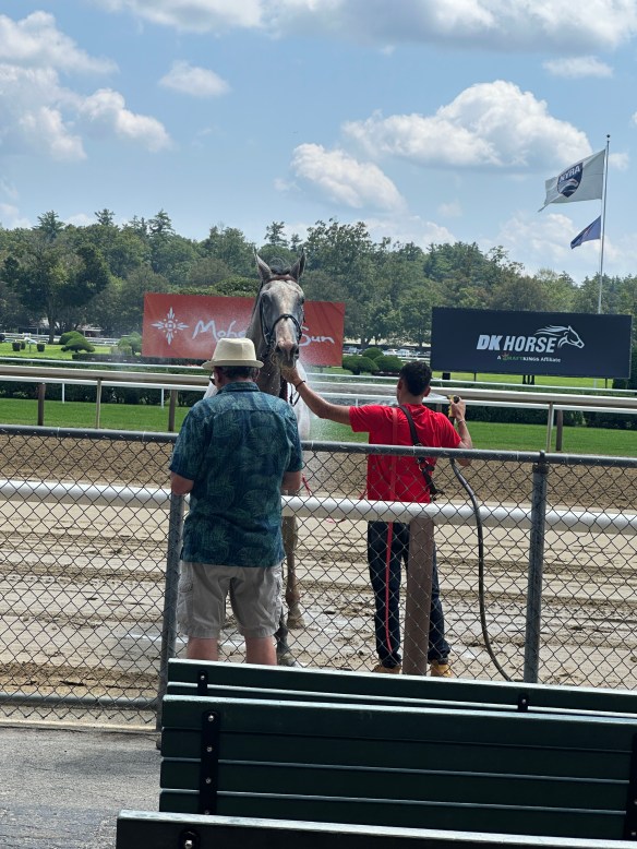 40BEDA48-A39F-455C-A98C-BA08D00E8048