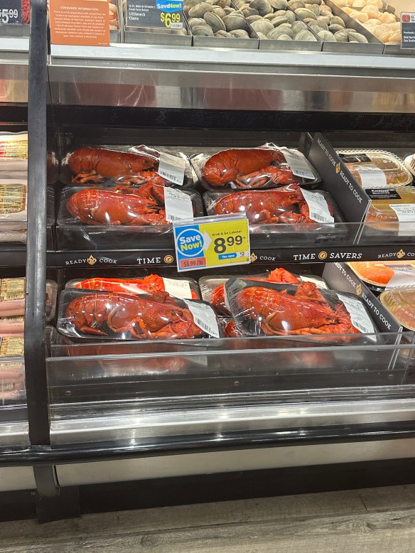 CA442454-A4CD-415D-8771-BCAA5D5AD2D5