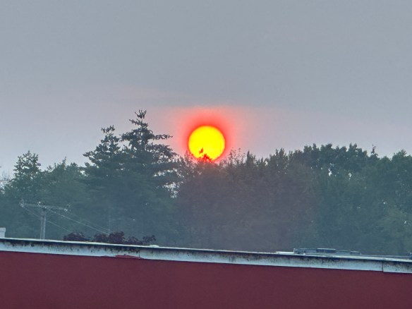 E9B105BF-51D7-45C1-BEE5-727394B49ECA