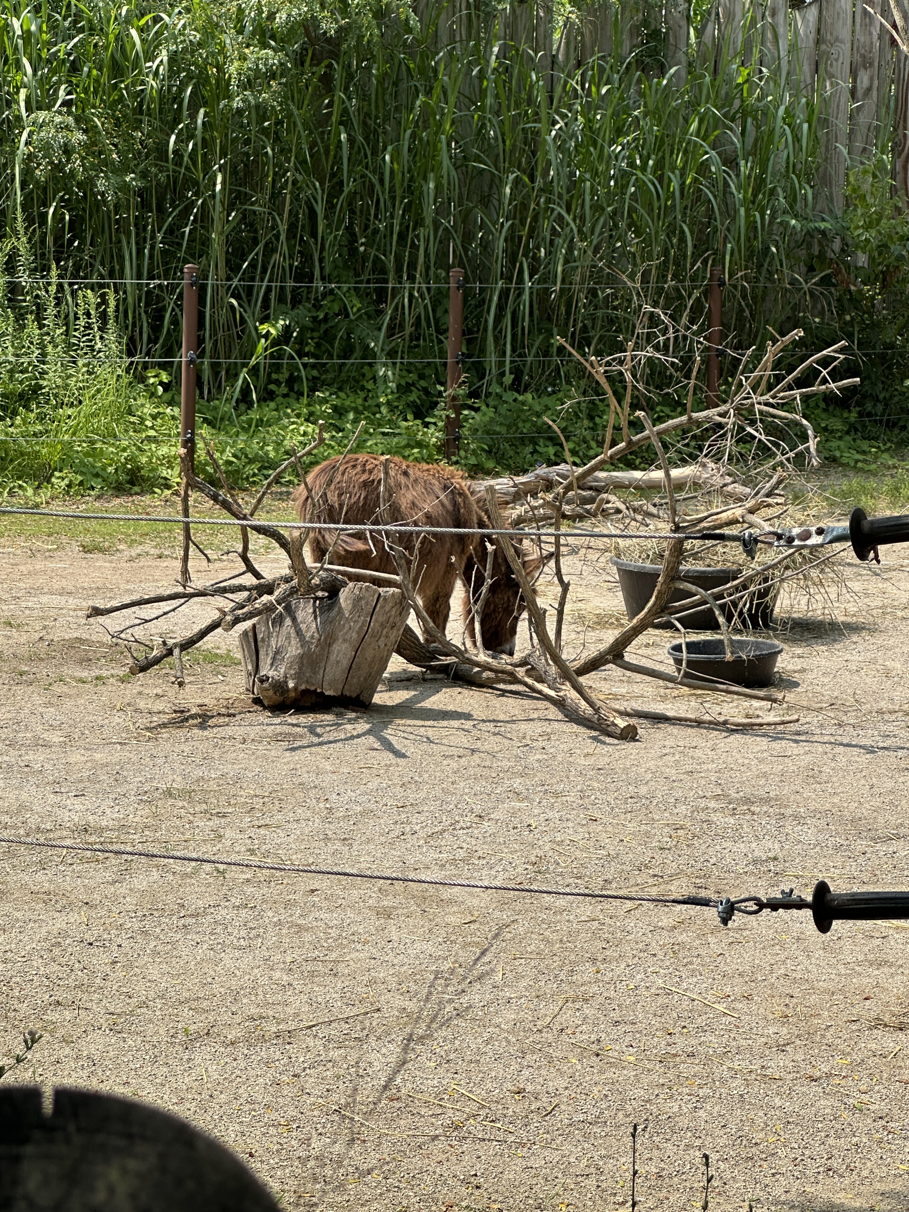 0D0C8FF7-124A-4CF5-8B9E-C2ED0FD22D3C