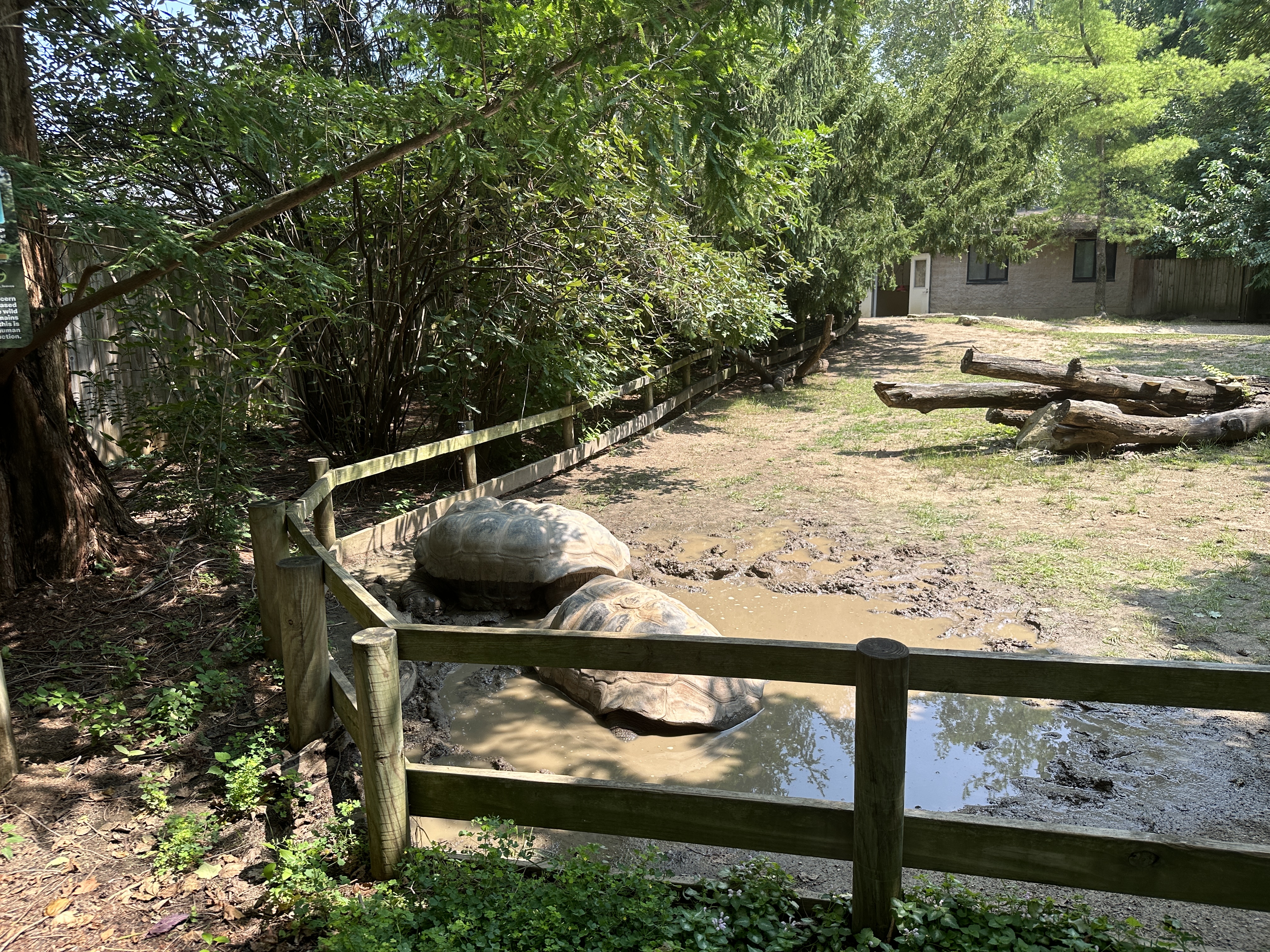 1BB2624C-2A3B-40AD-84D3-912944D16343