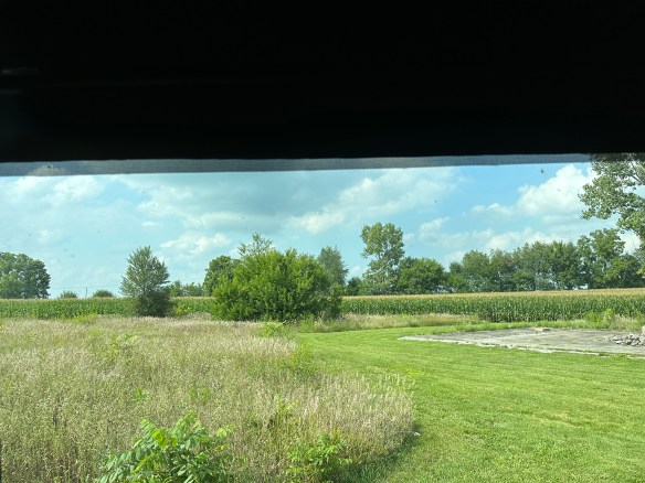 2C98413B-AF70-455A-9EA7-03B30E8BD99B