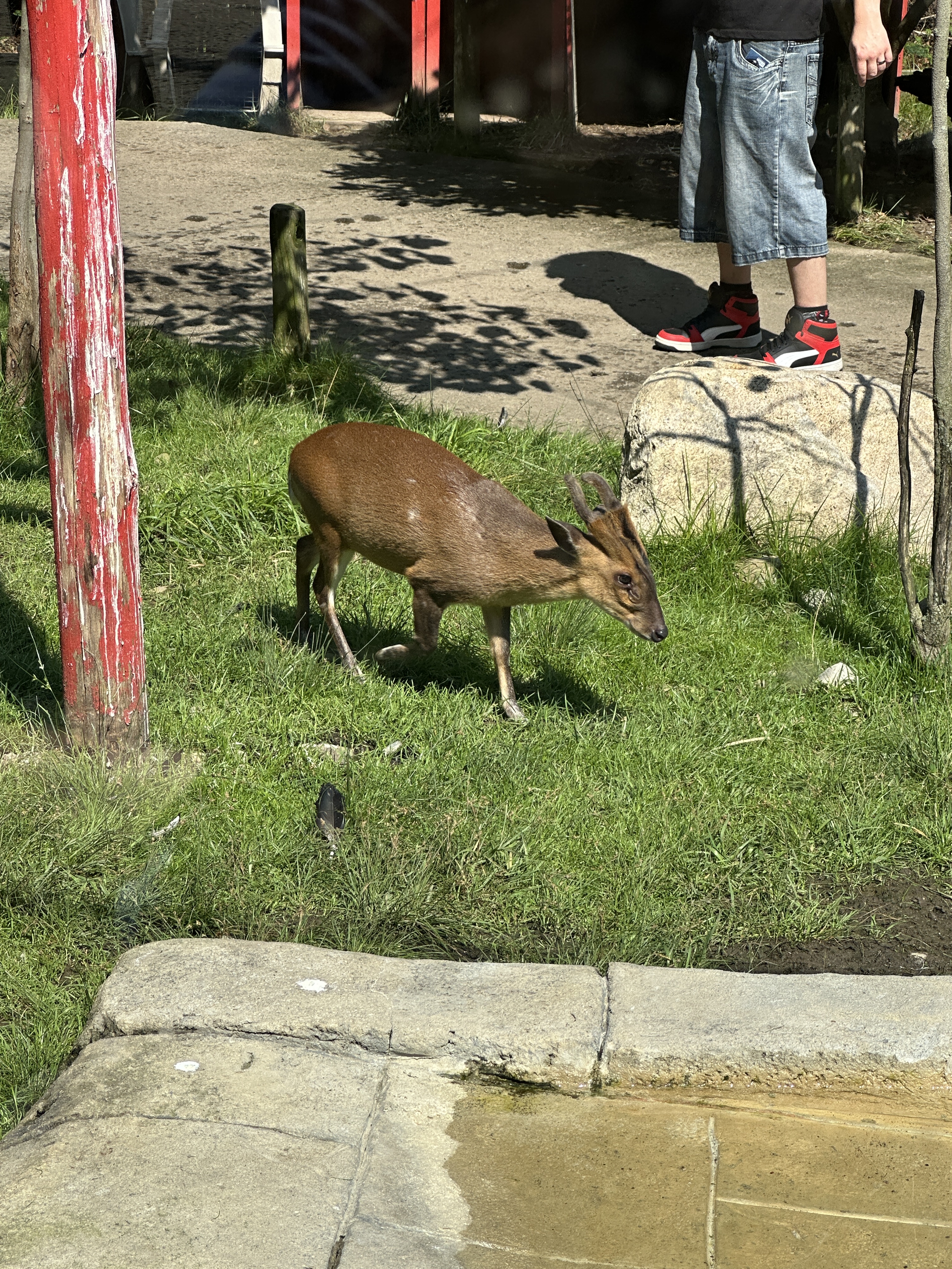 5DCCFCAD-F3C1-4E9C-8FD4-9028DC9DEF15