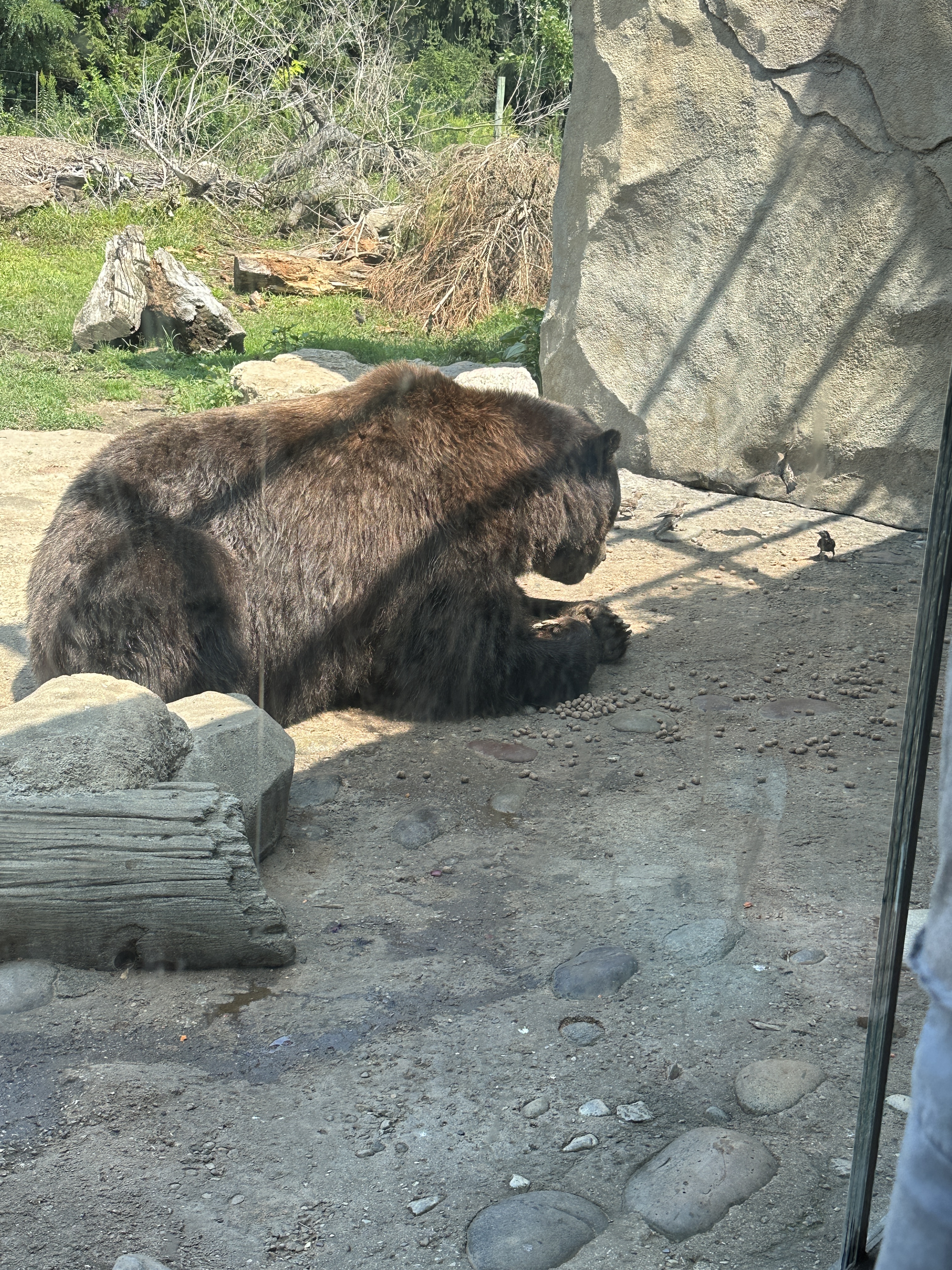 6BD0947F-5347-4F7B-827B-64CB0E2B3017