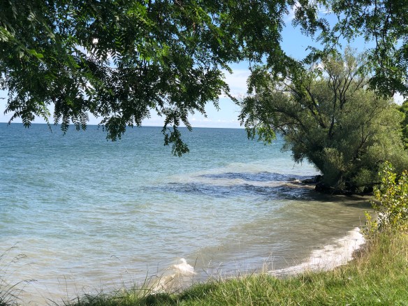 72D52722-1A2A-4B93-92FF-A1F6553D4C60