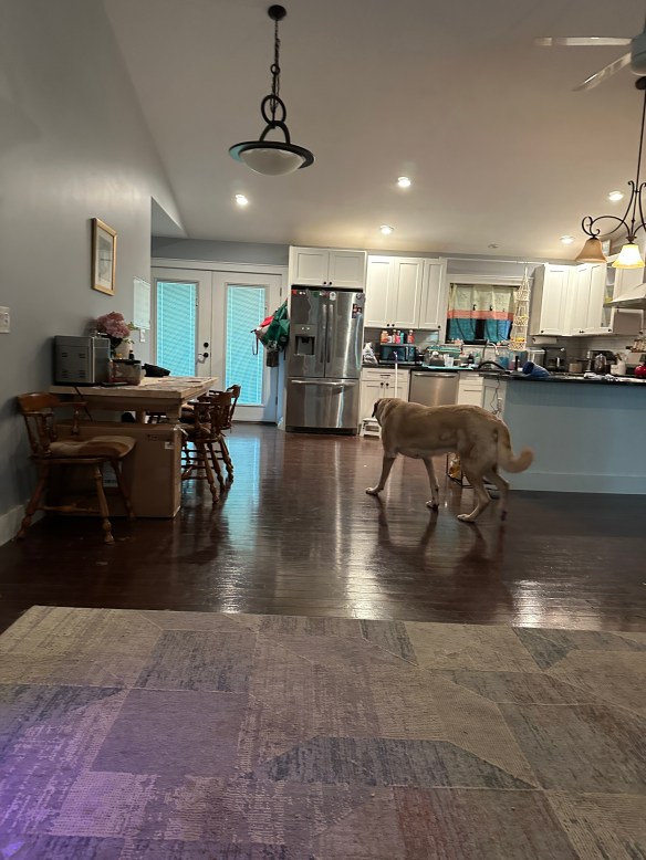 74A9A173-5514-4912-897E-73711581E493