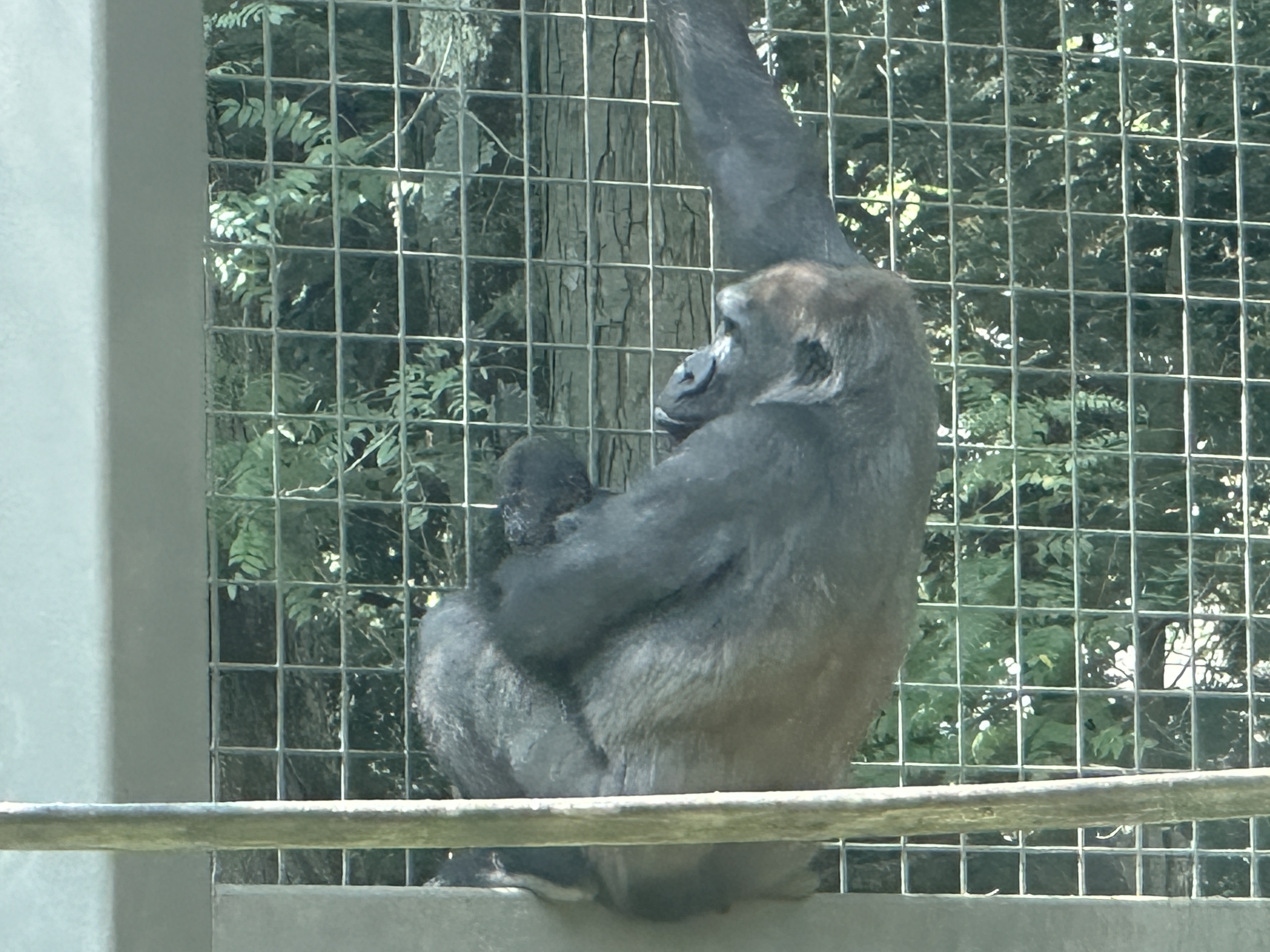 8DEBA082-485E-42CA-BAB9-C7430D6B94A5